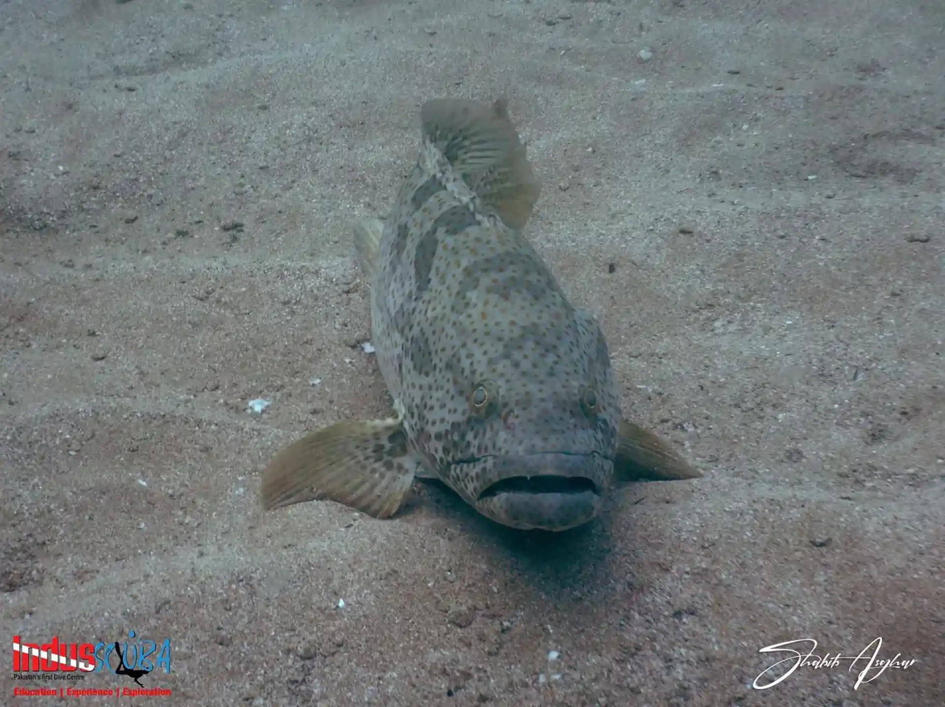 Dive site photo