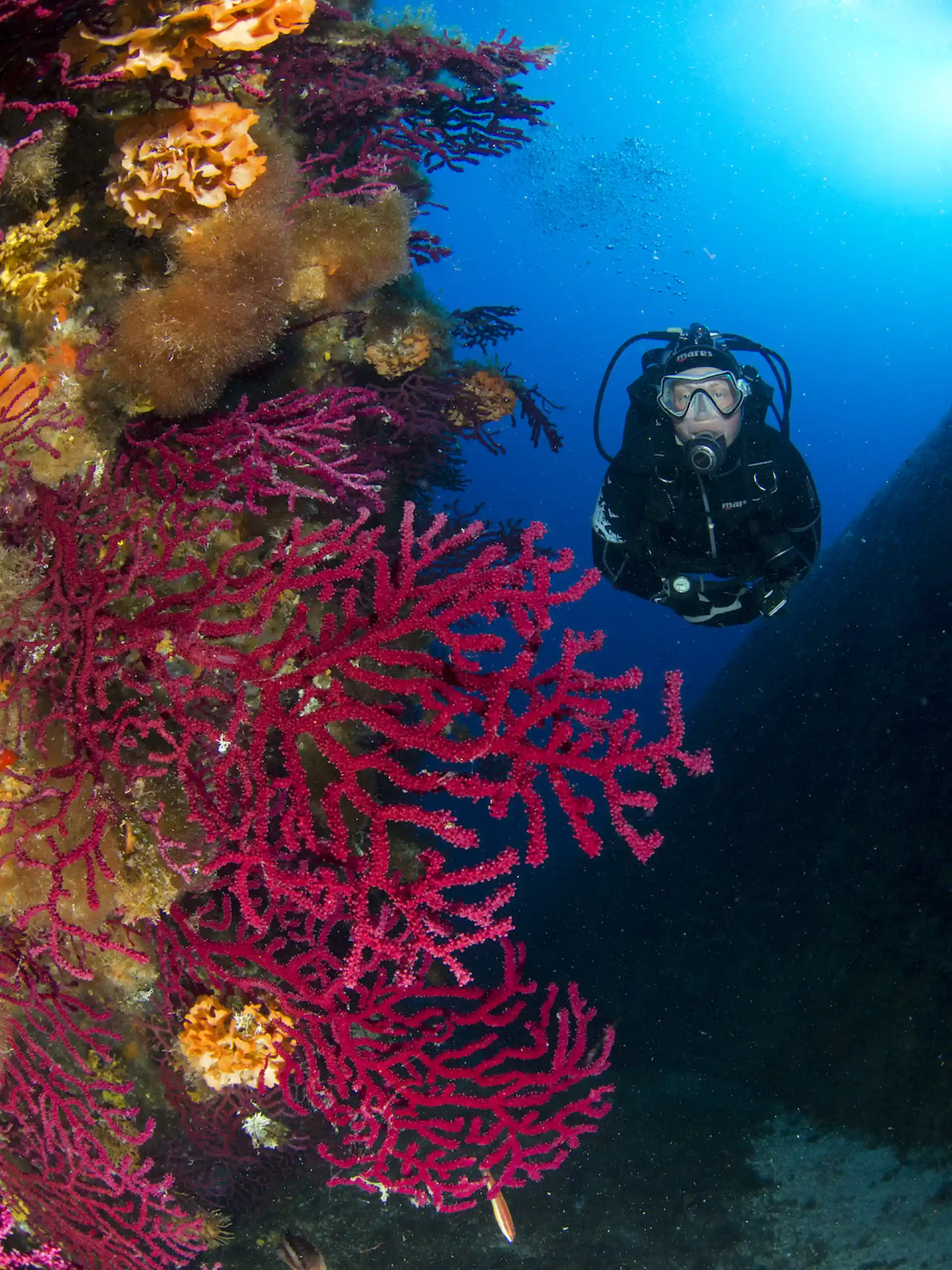 Foto des Tauchplatzes