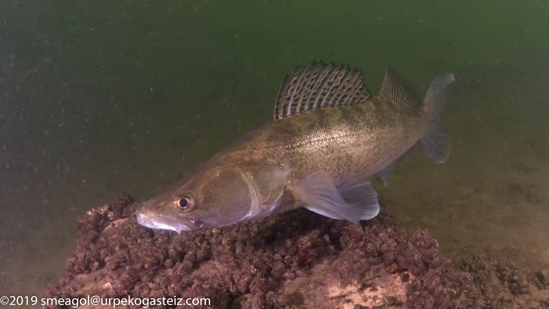 Foto de la actividad