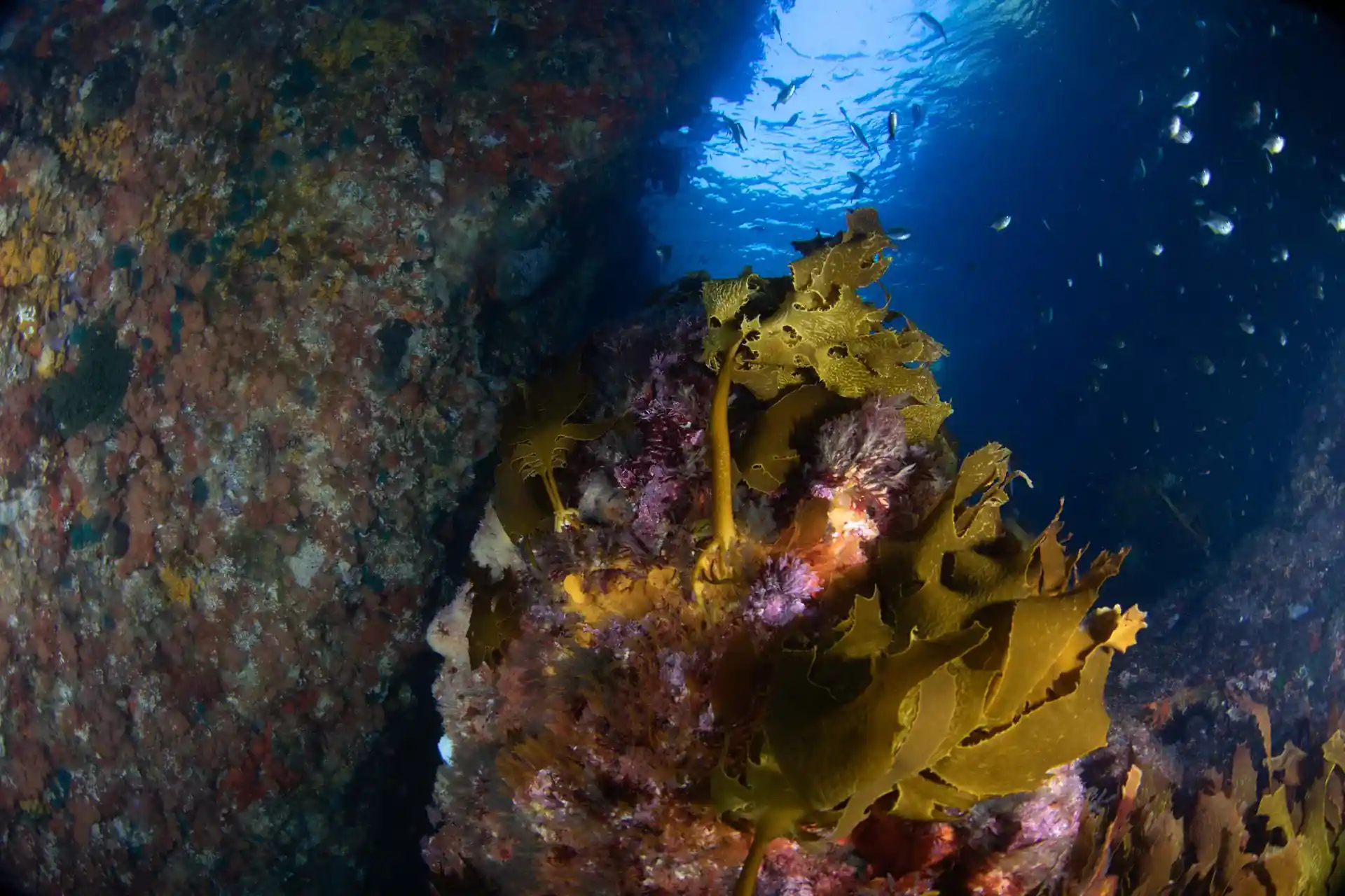 Dive site photo