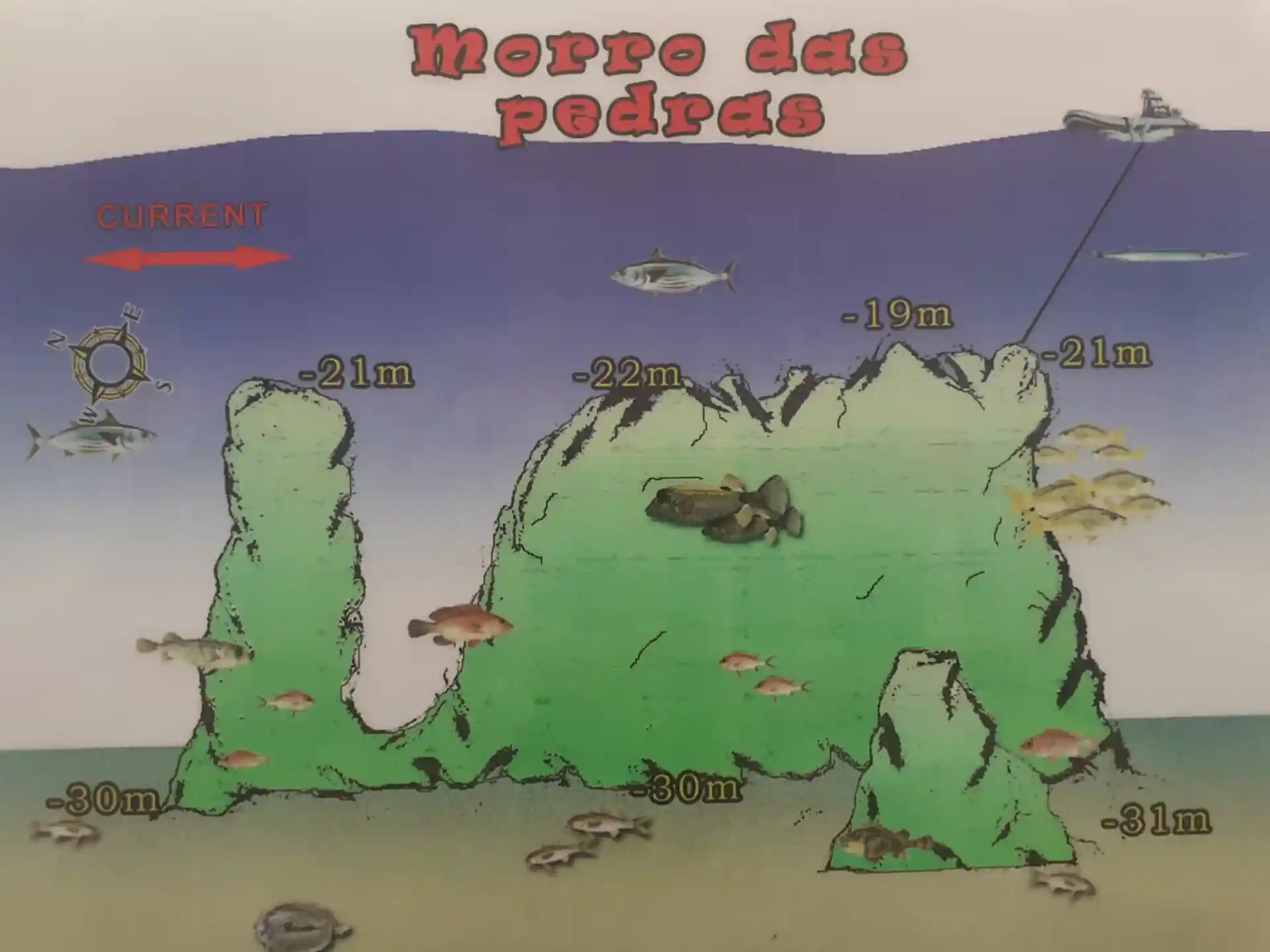 다이빙 포인트 사진