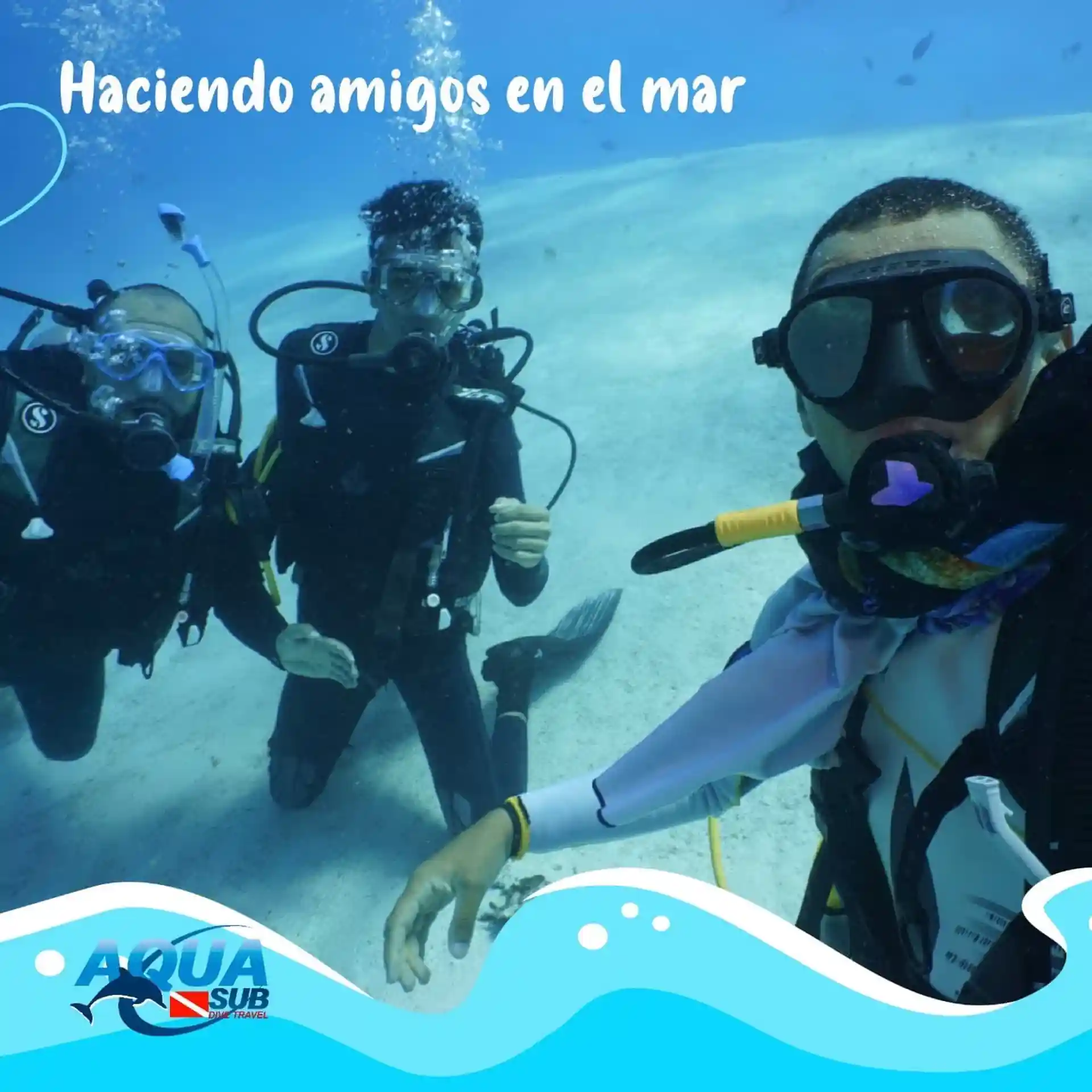 Foto de la actividad