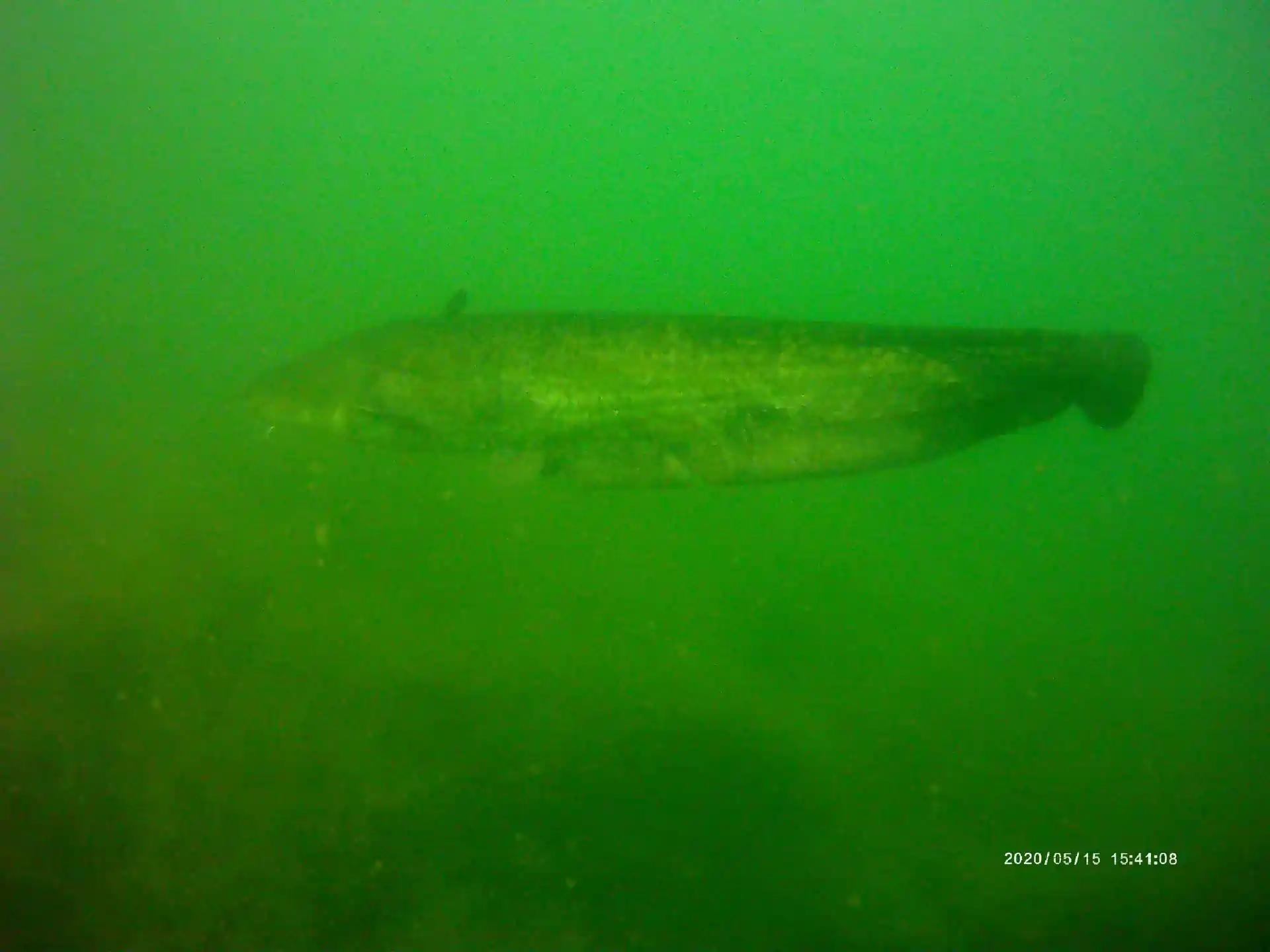 다이빙 포인트 사진