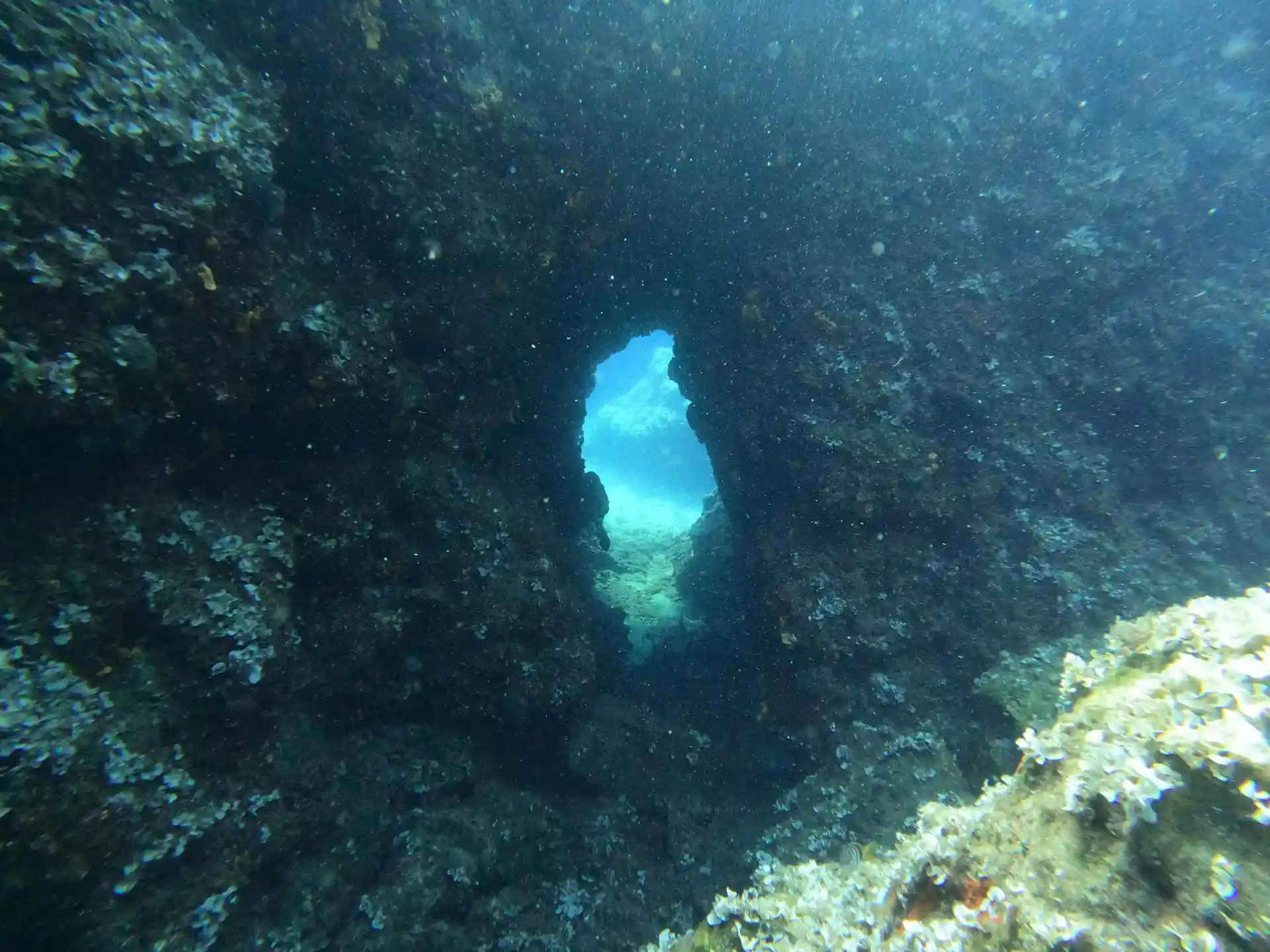 Foto del sitio de buceo