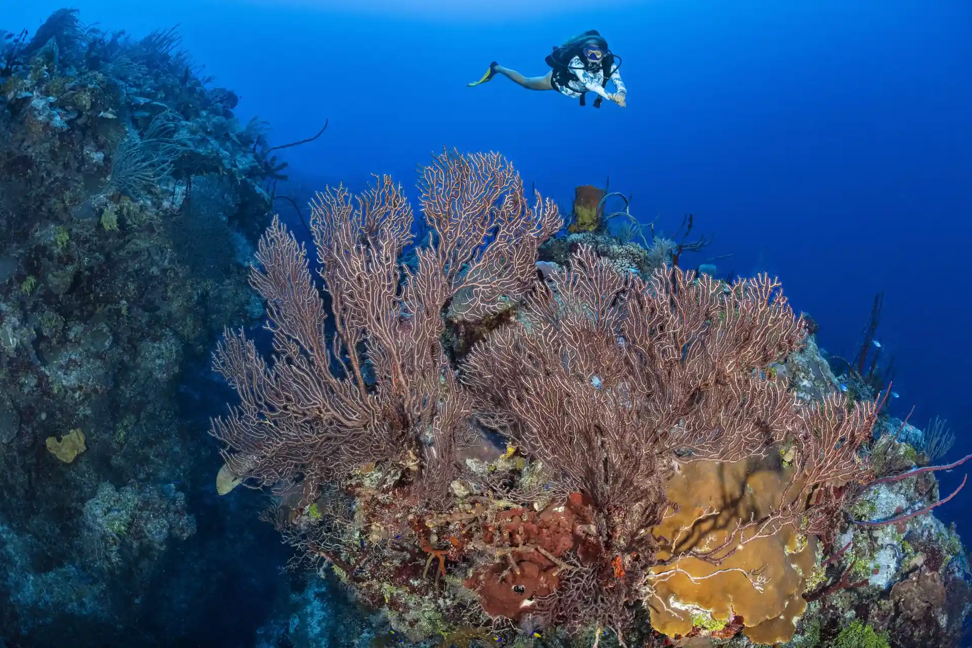 Dive site photo