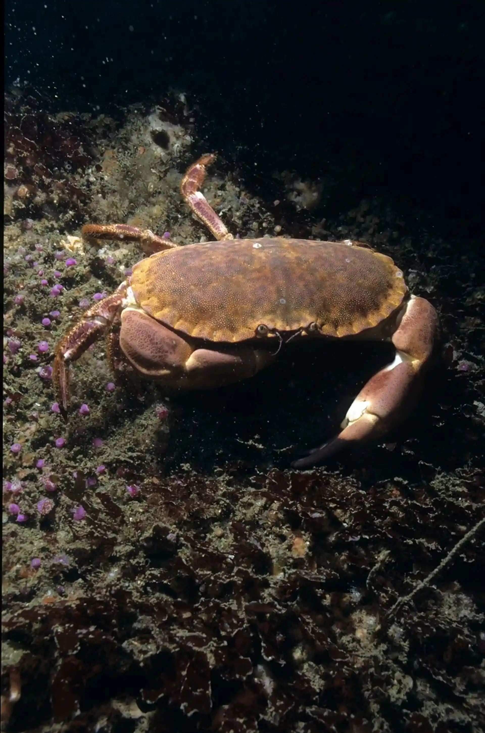 다이빙 포인트 사진