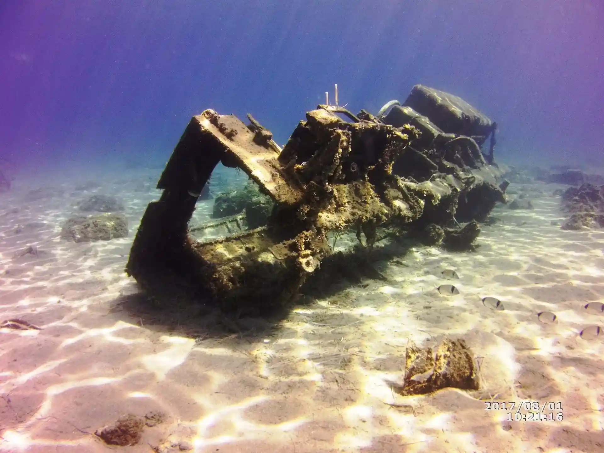 Dive site photo