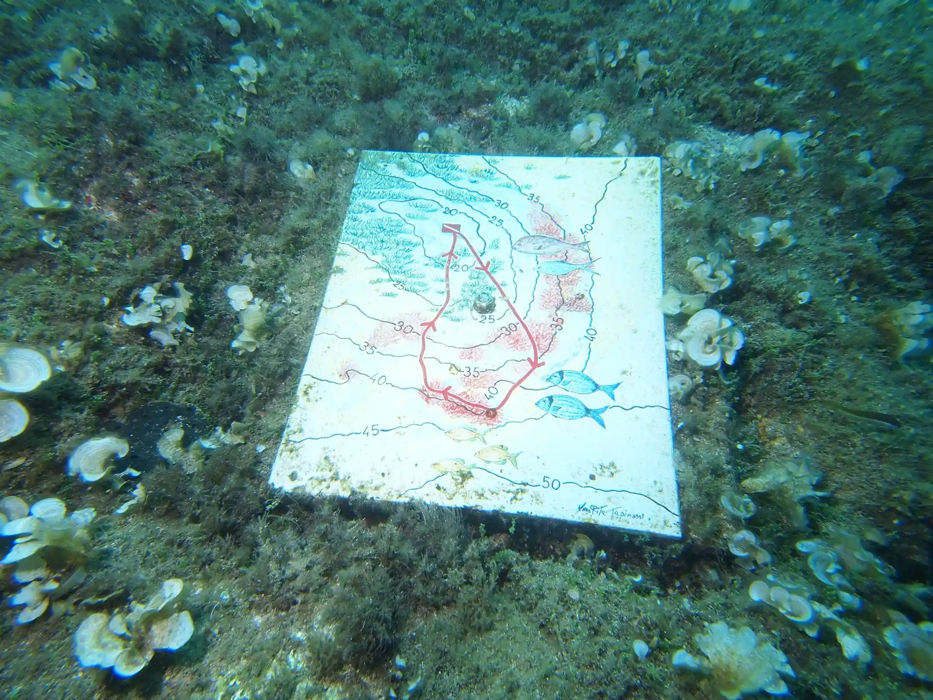 다이빙 포인트 사진