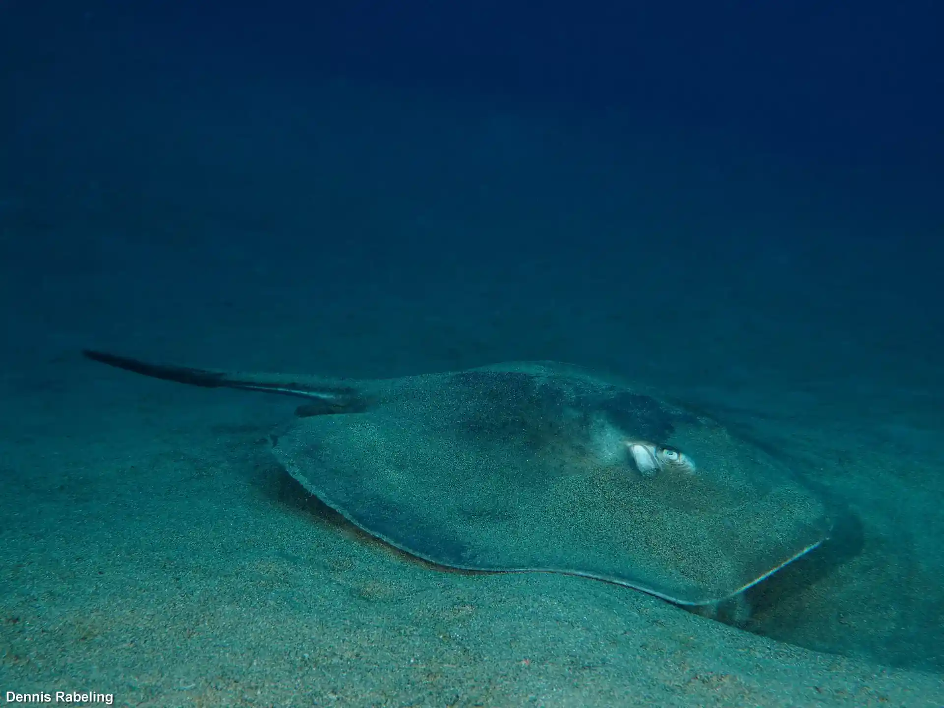 Photo du site de plongée