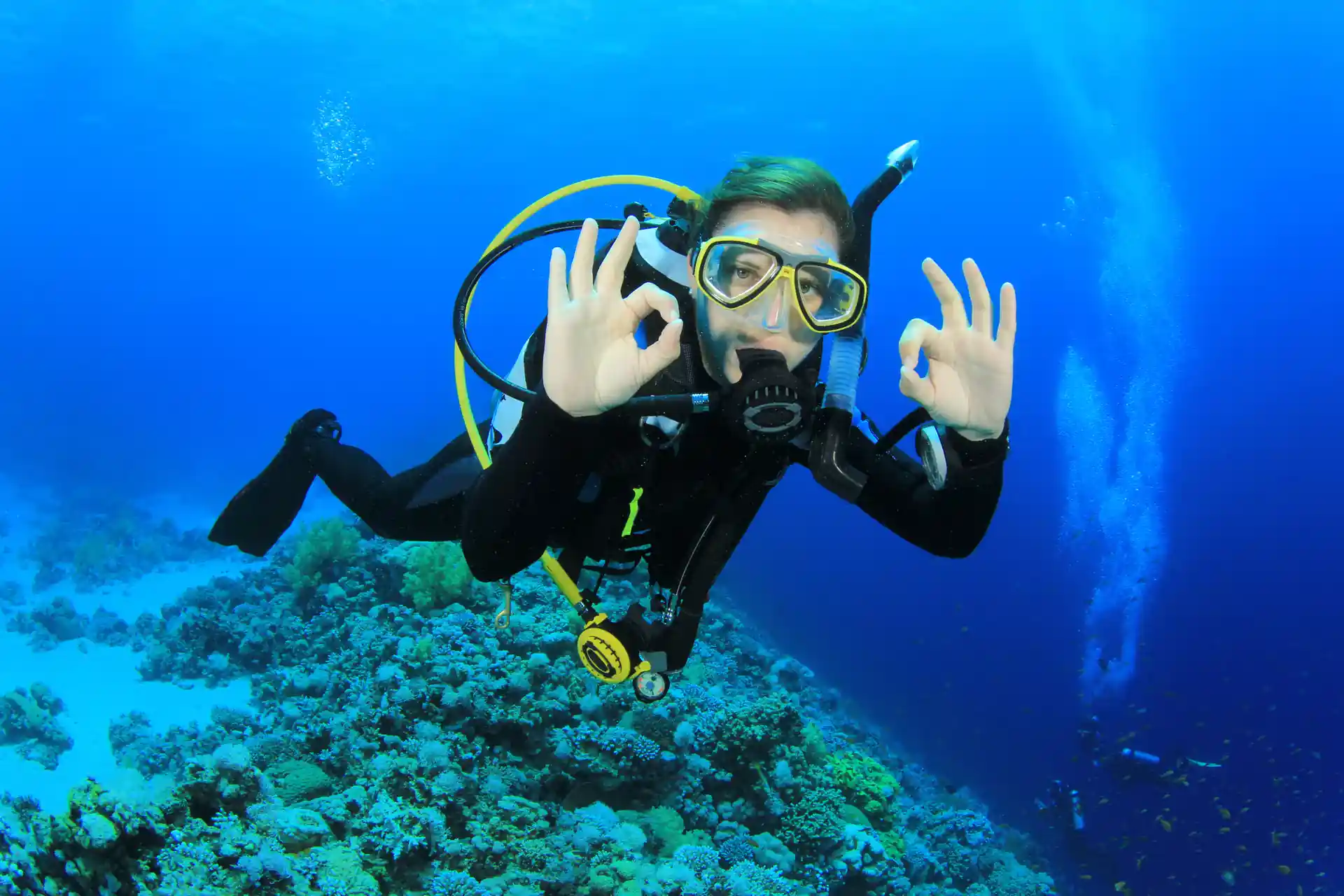 If you would like to continue exploring the spectacular reefs & marine life you can purchase a diving package which will allow you to enjoy numerous shore dives, shallow boat dives & the popular seal dive during your stay in Plettenberg Bay.