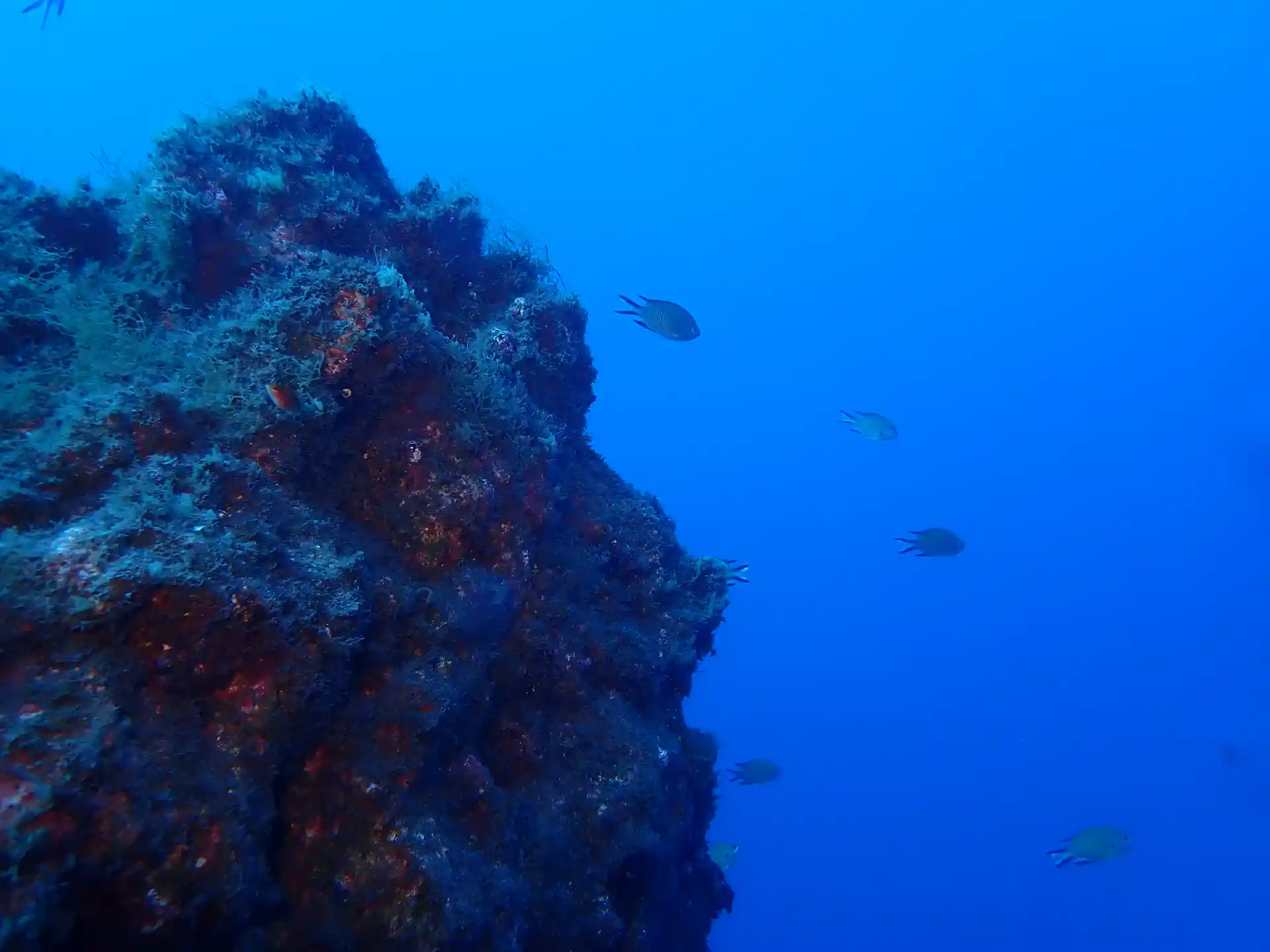 Foto de la actividad