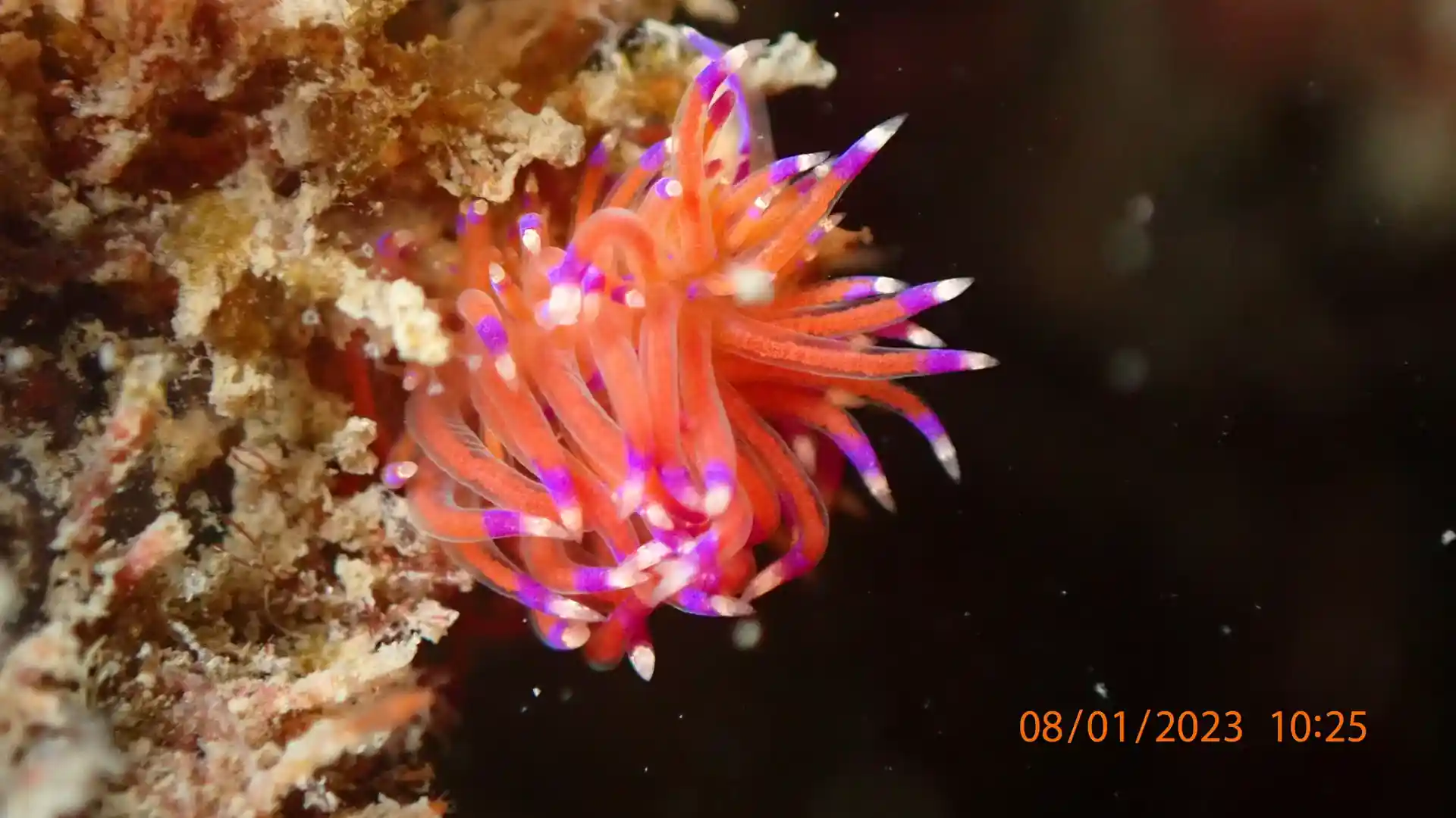 다이빙 포인트 사진