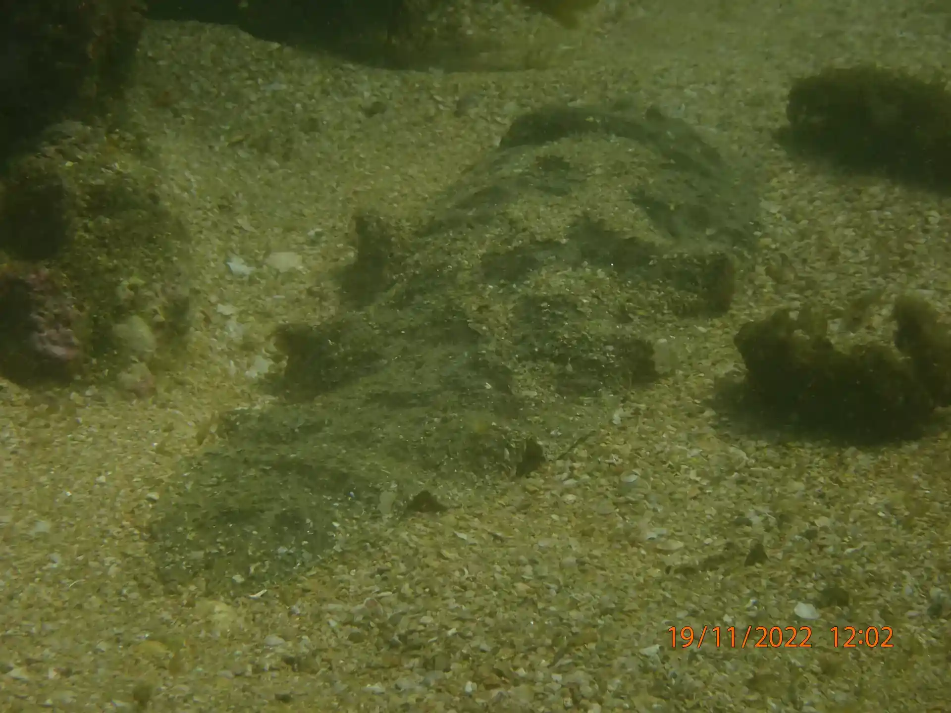 Dive site photo