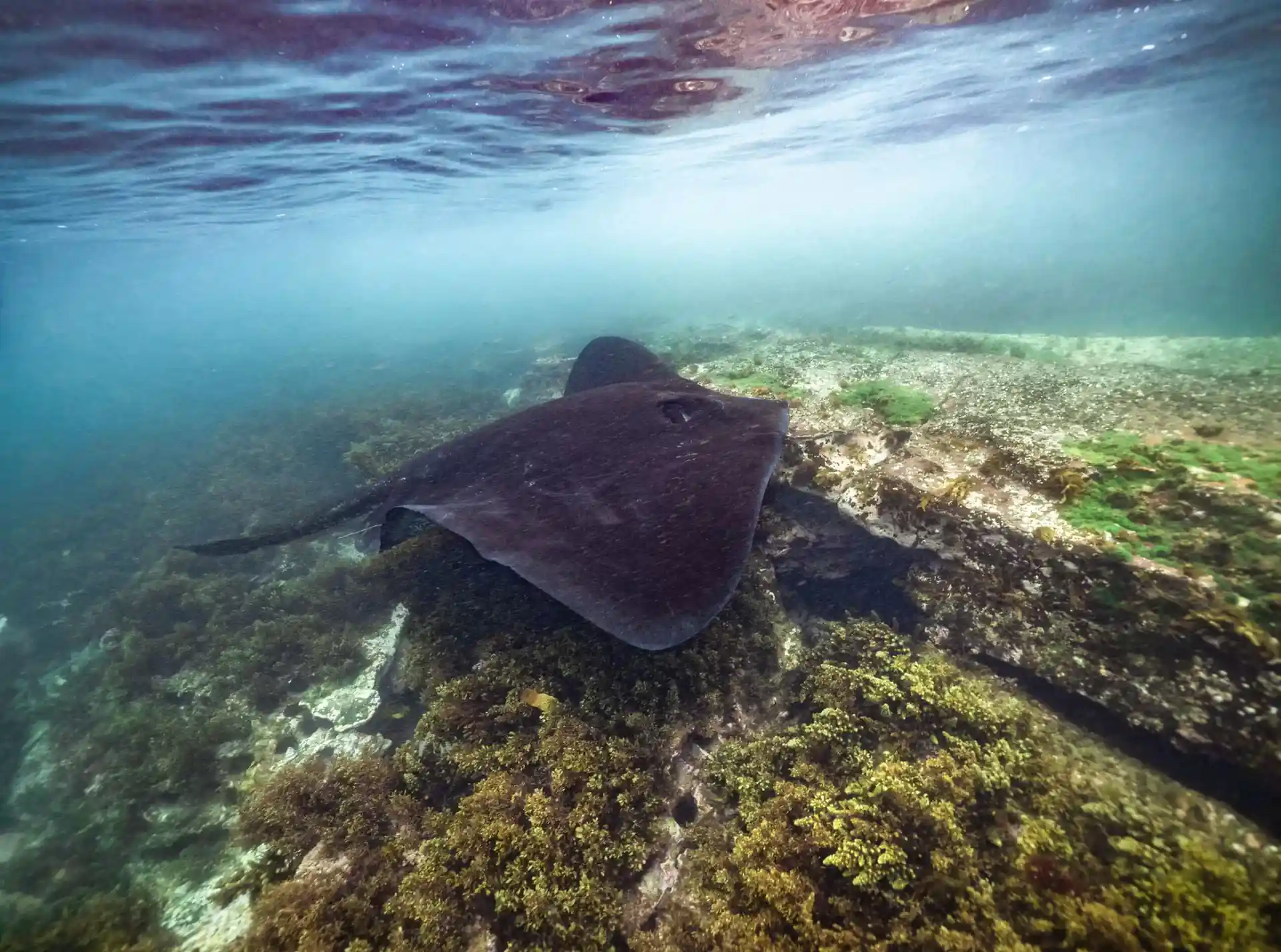Dive site photo