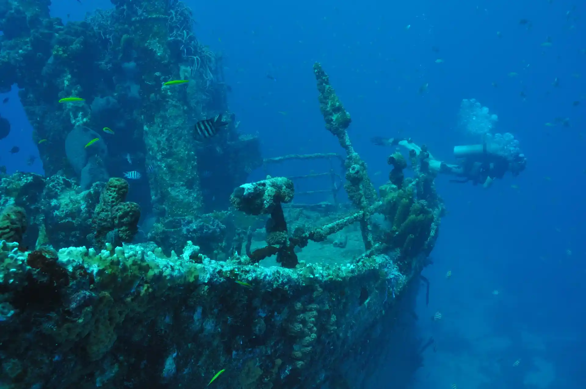 Photo de l'activité