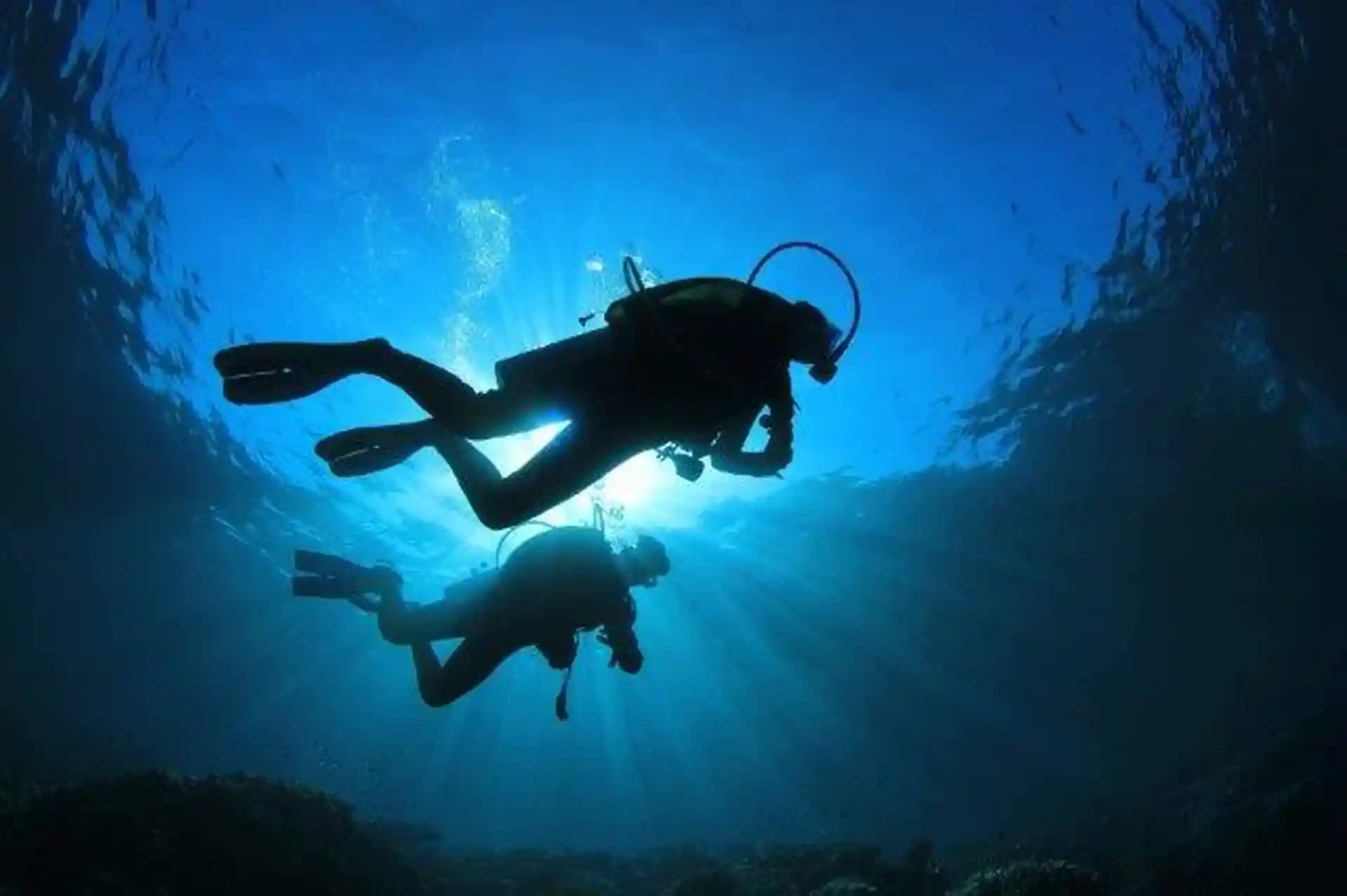 Dive shop photo