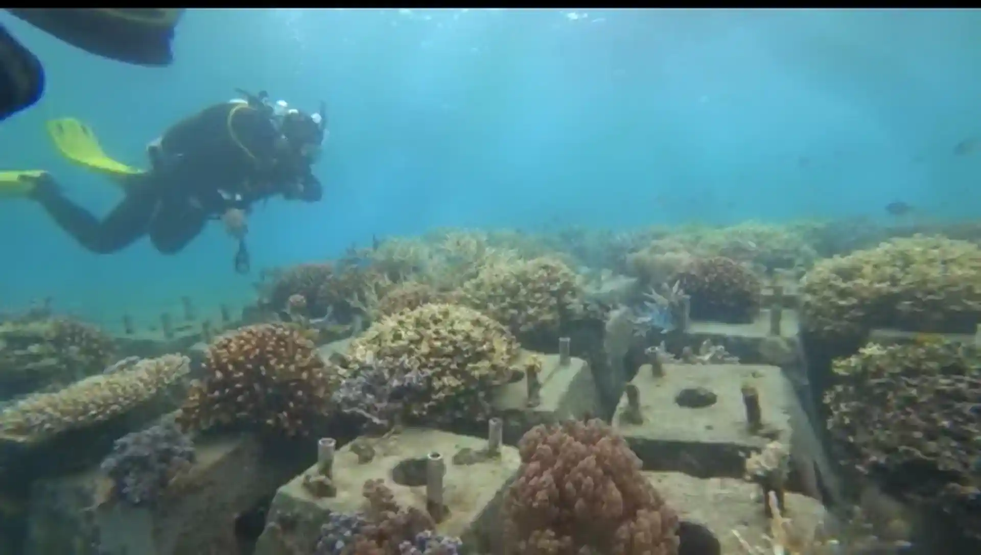 Dive site photo