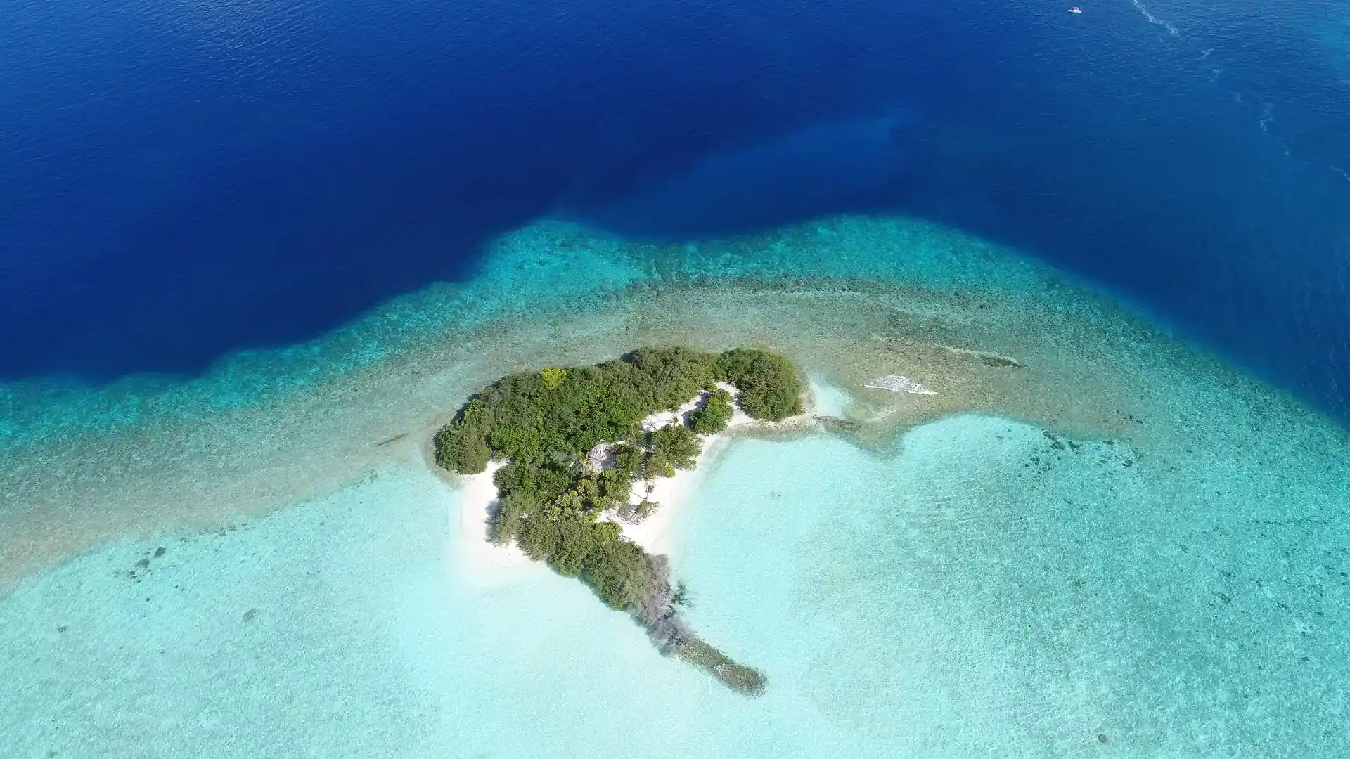 Dive site photo
