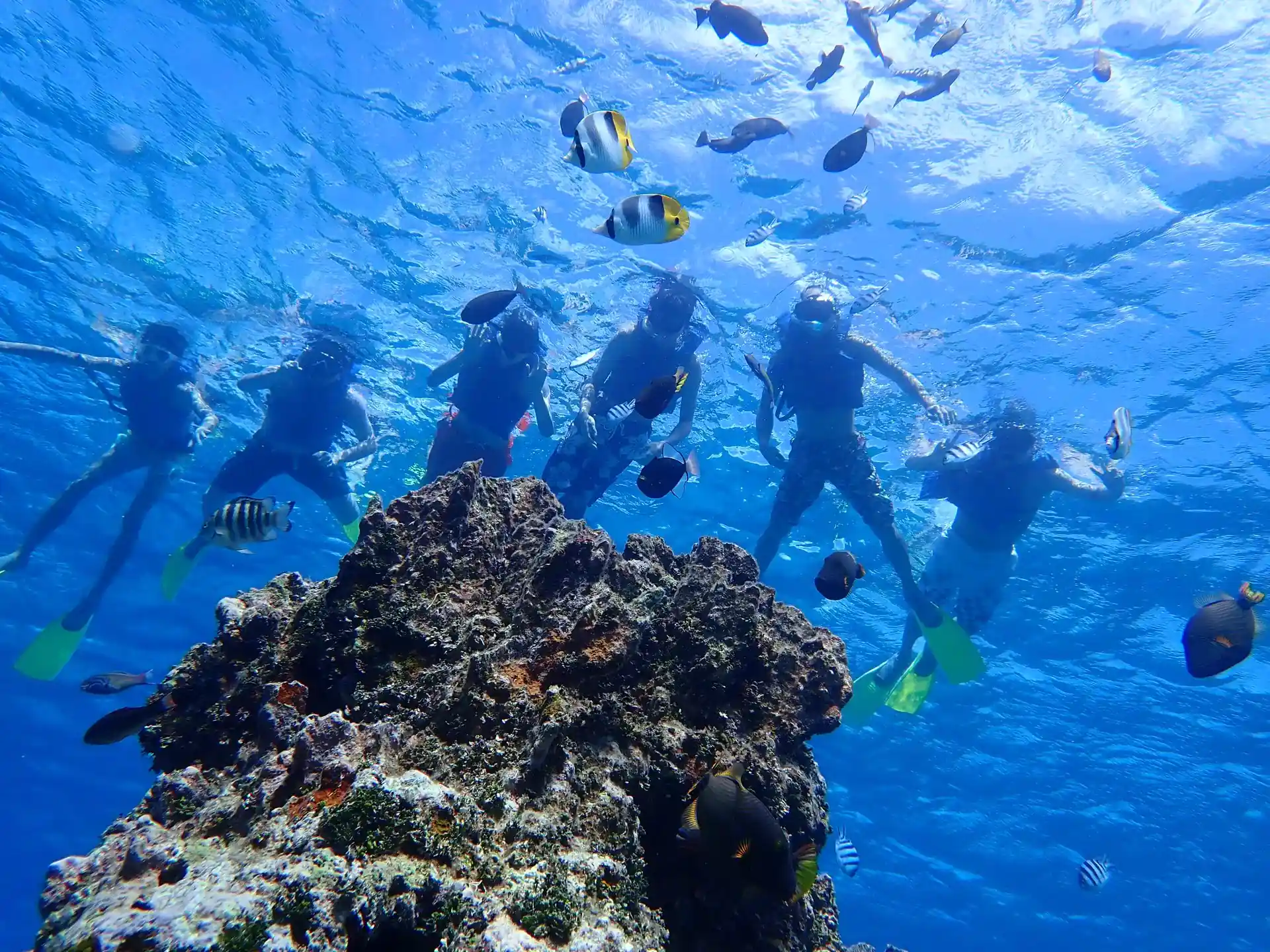 Dive site photo