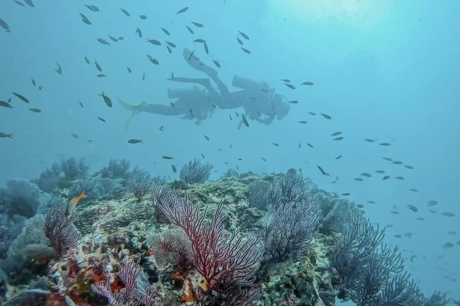 Dive site photo