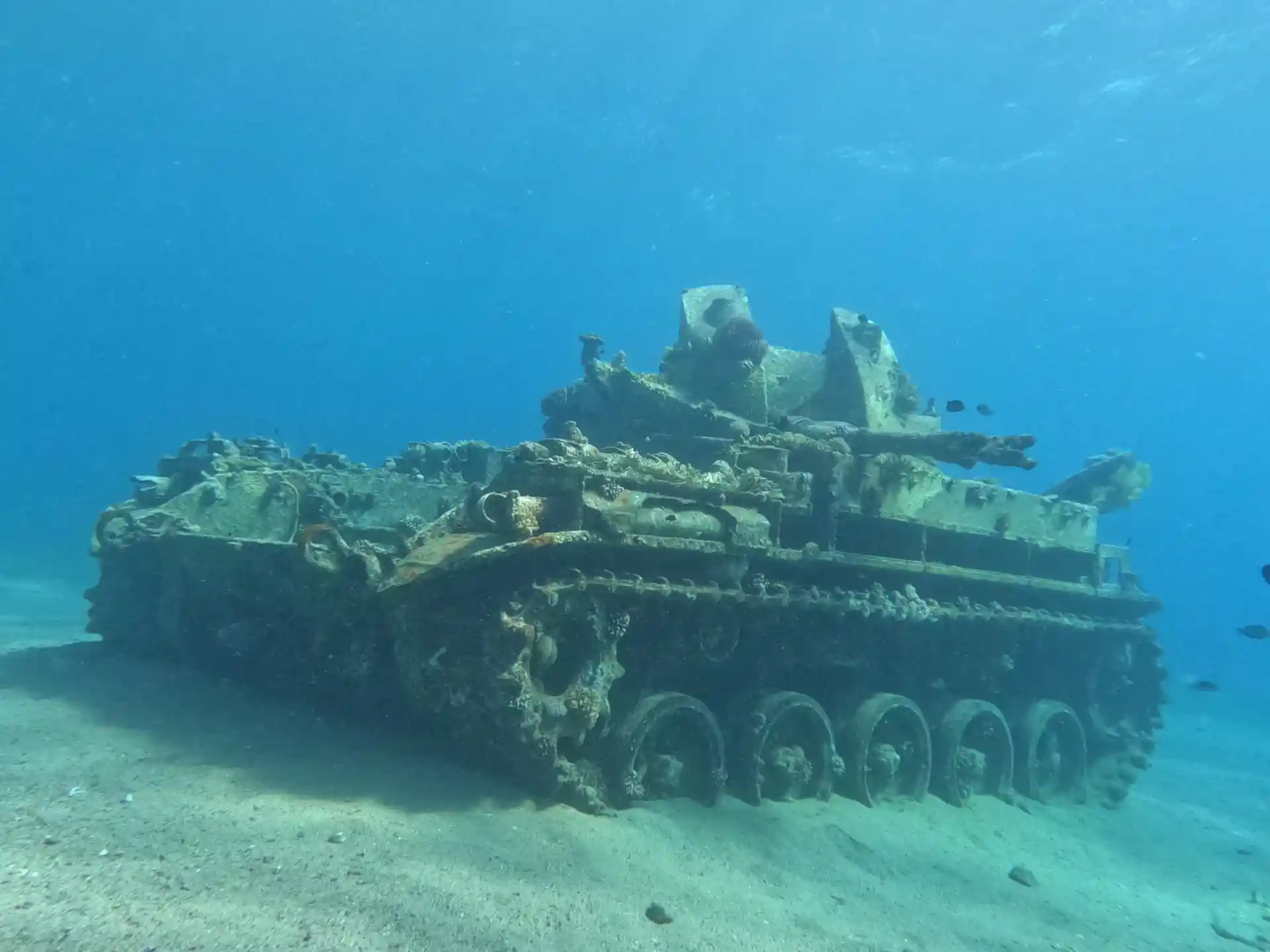 Dive shop photo