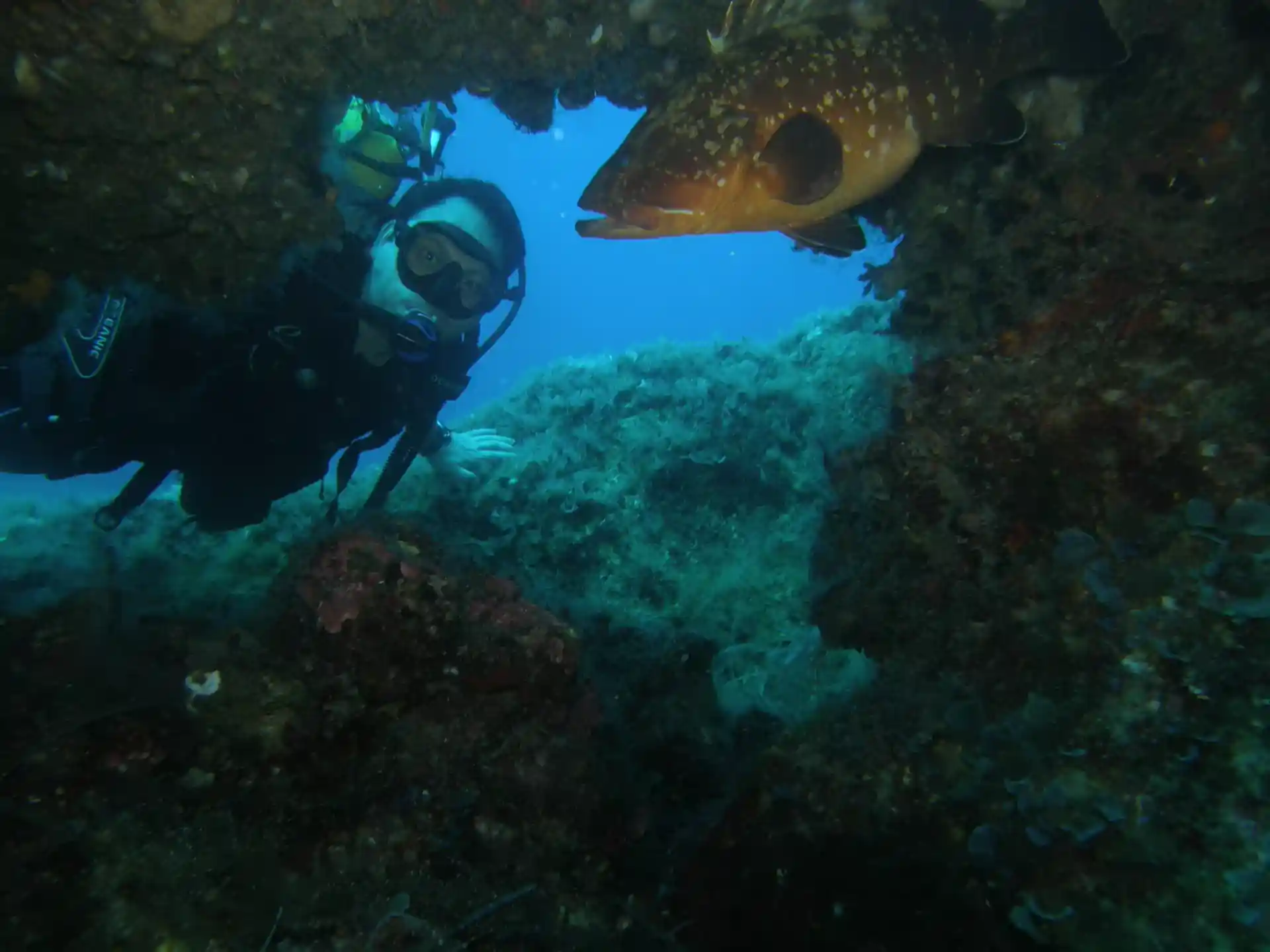 Dive site photo