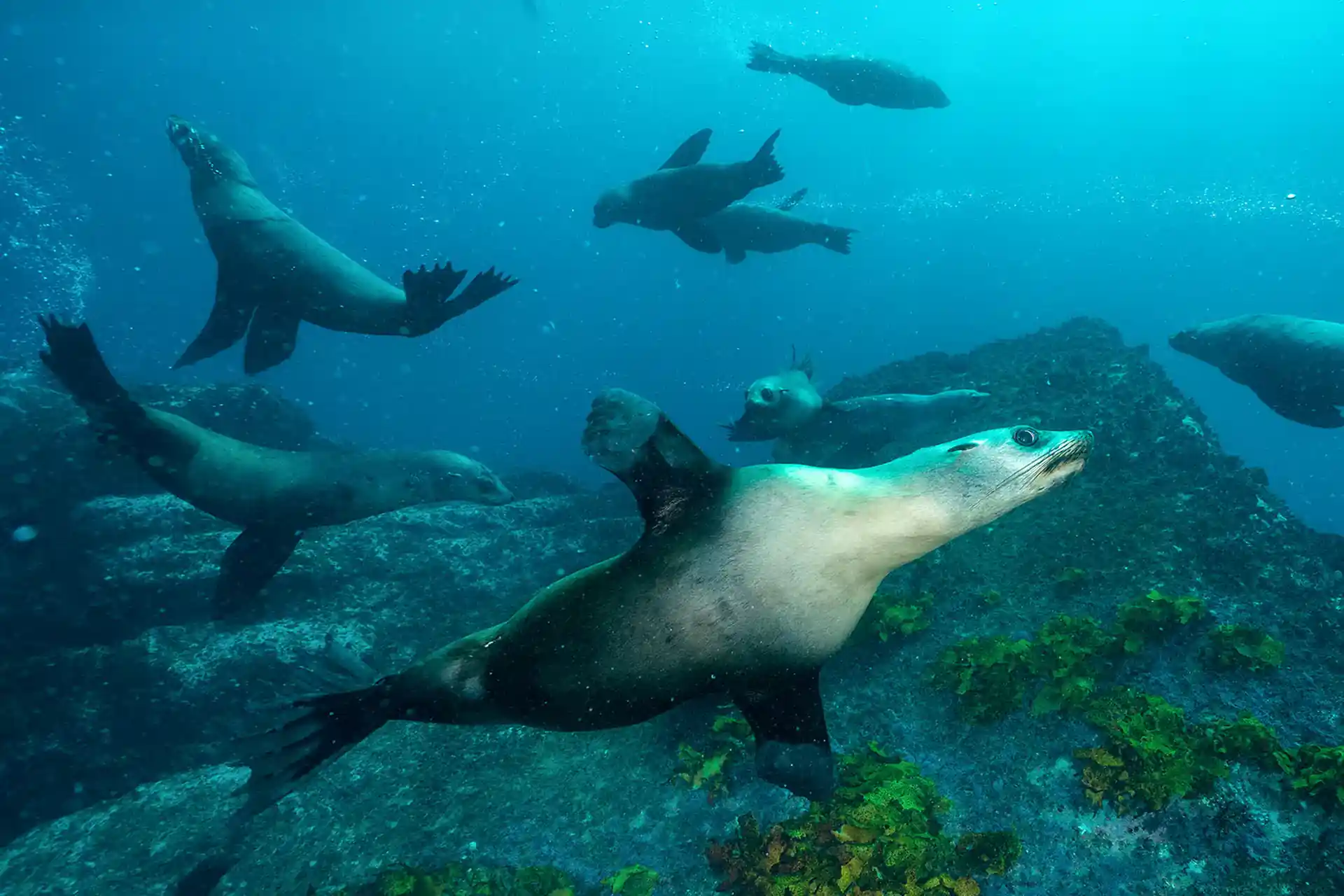 Dive site photo