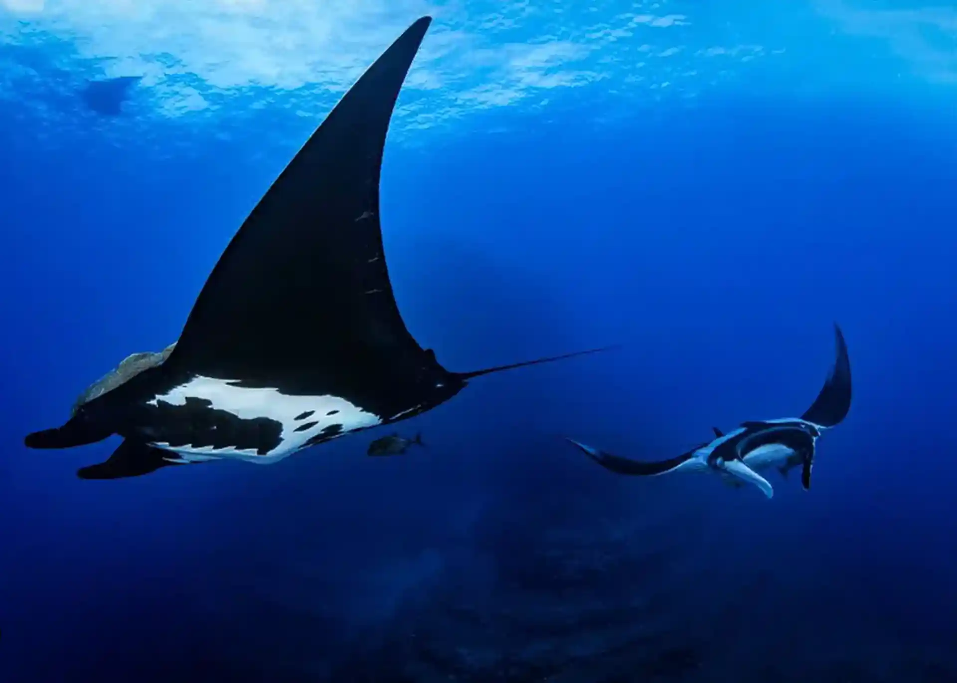 Foto del sitio de buceo