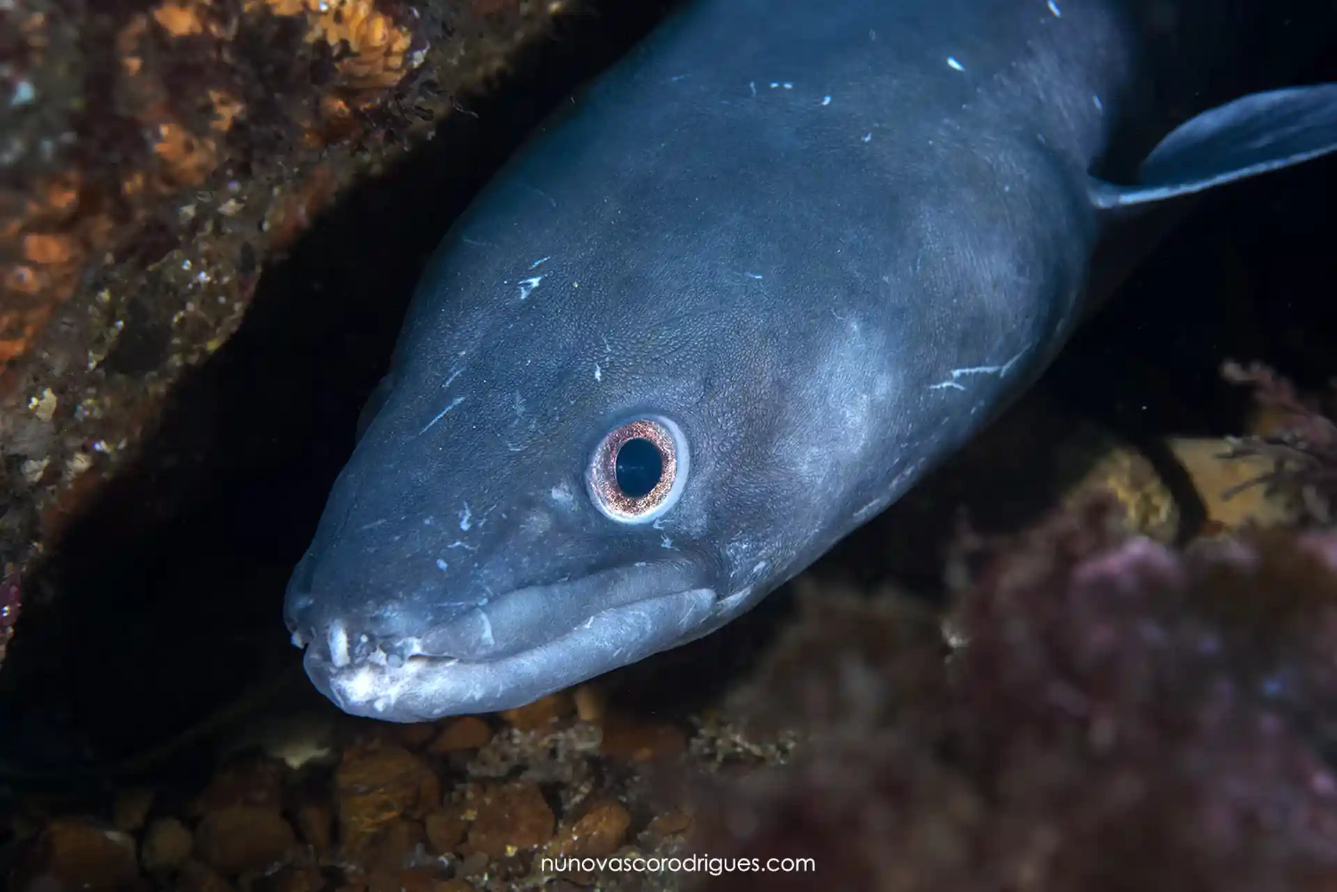 Dive site photo