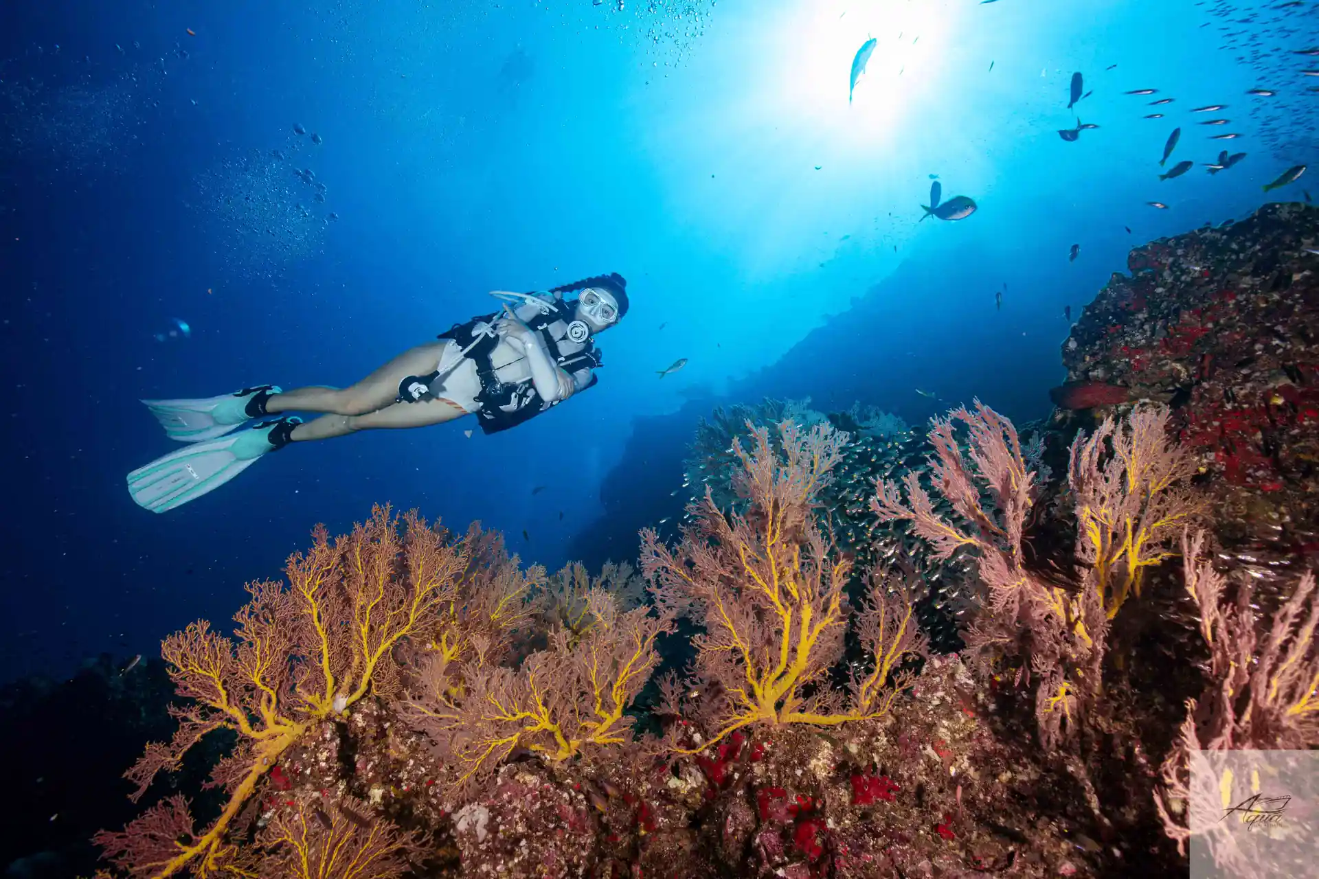 Dive shop photo