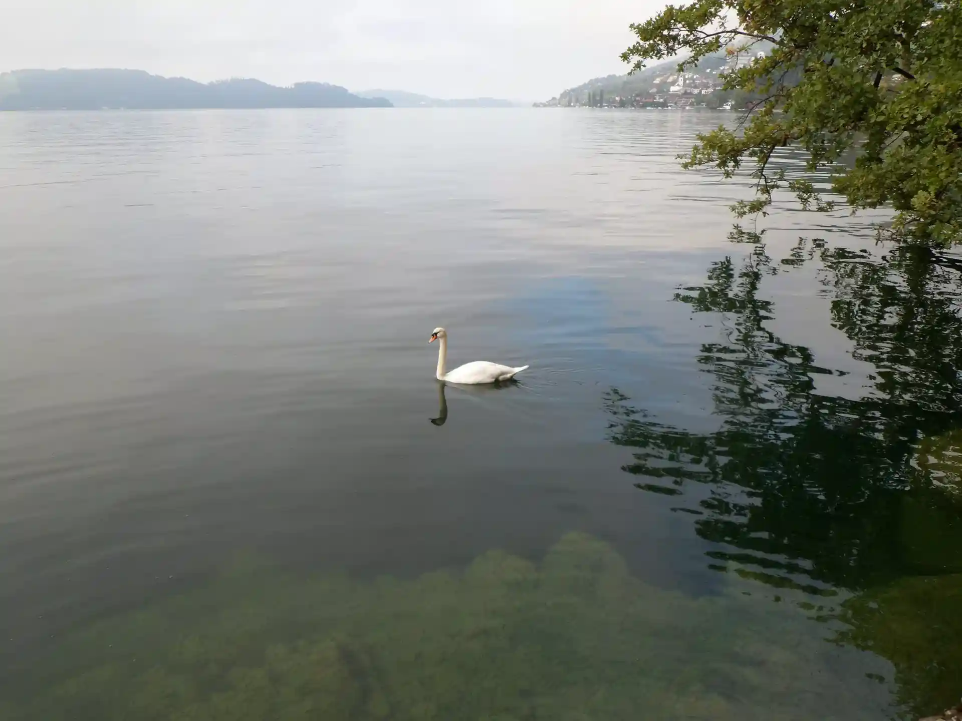 Foto des Tauchplatzes