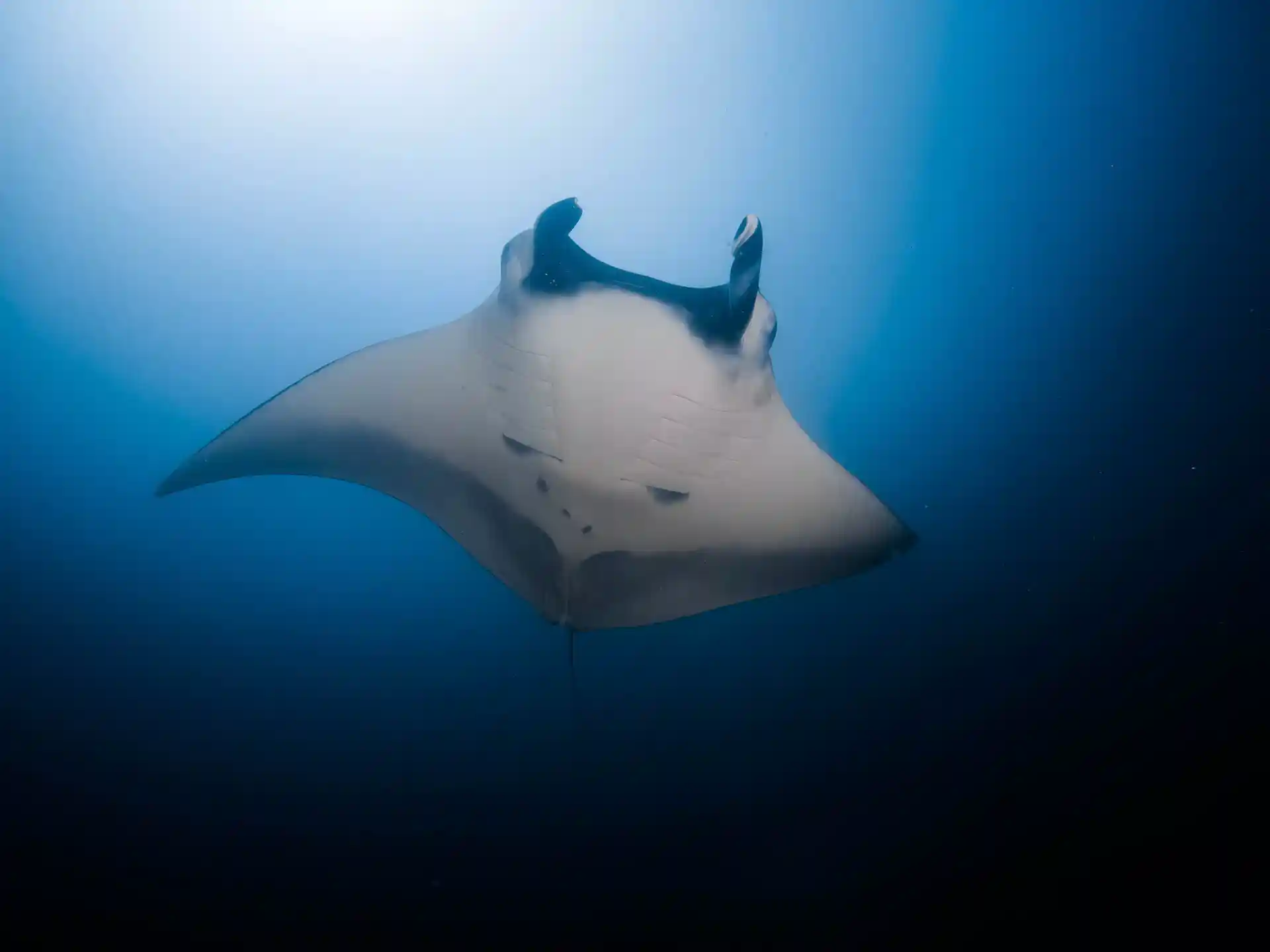 Foto de la actividad