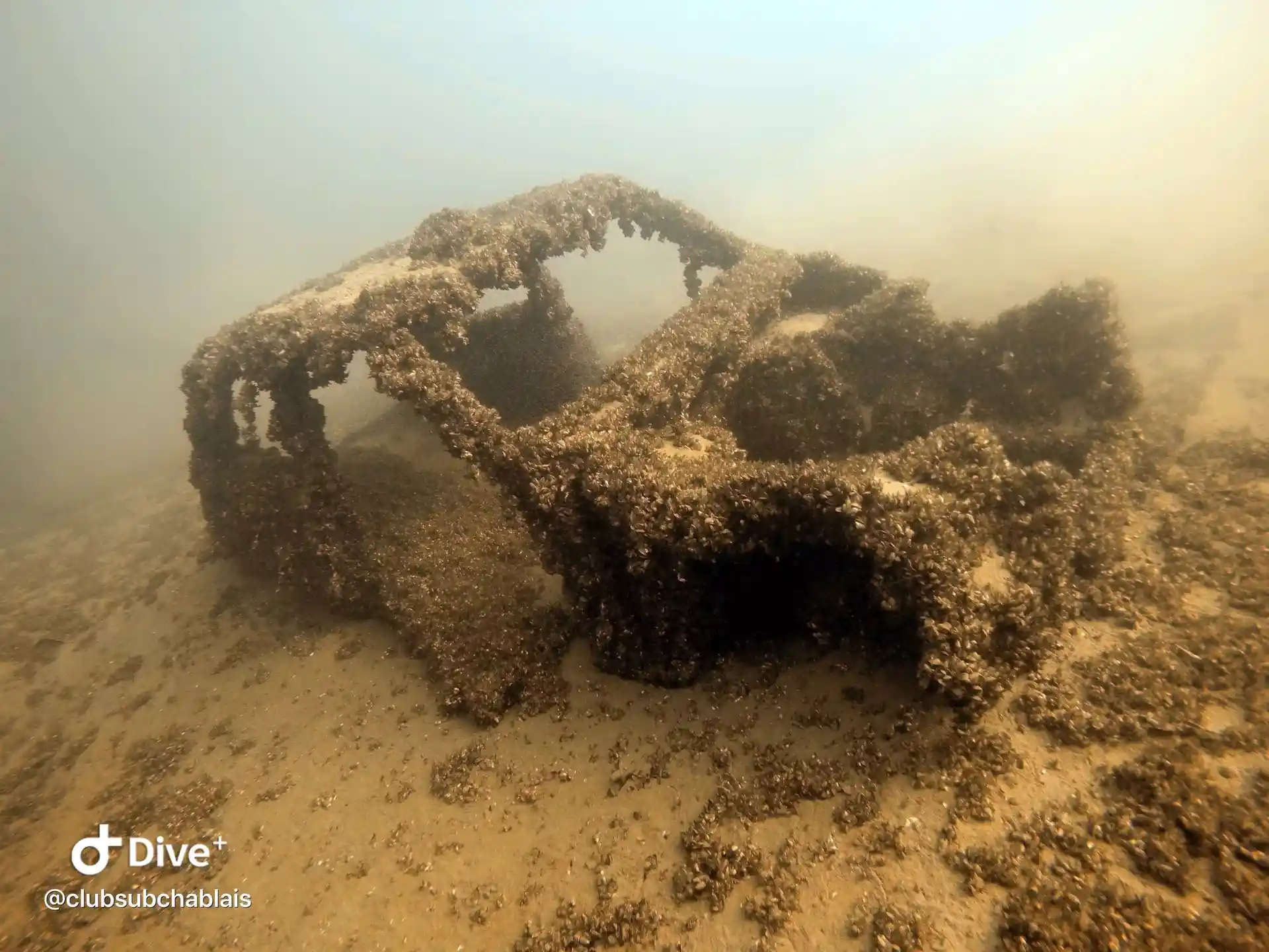 다이빙 포인트 사진