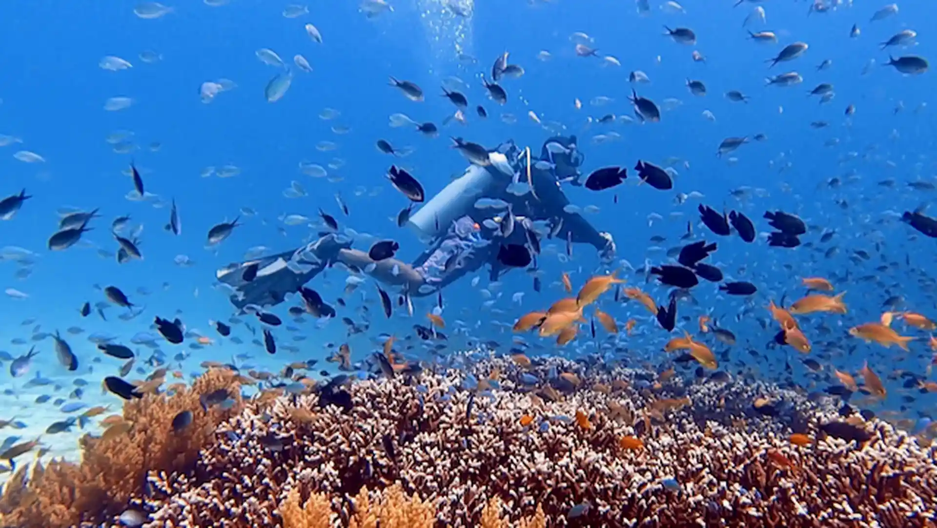 다이빙 포인트 사진