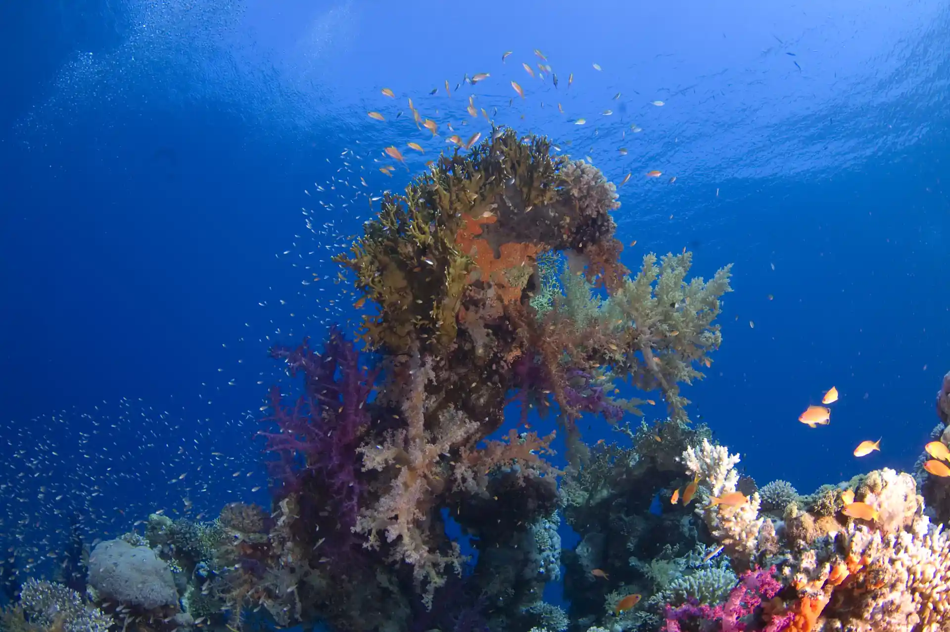 Foto de la actividad