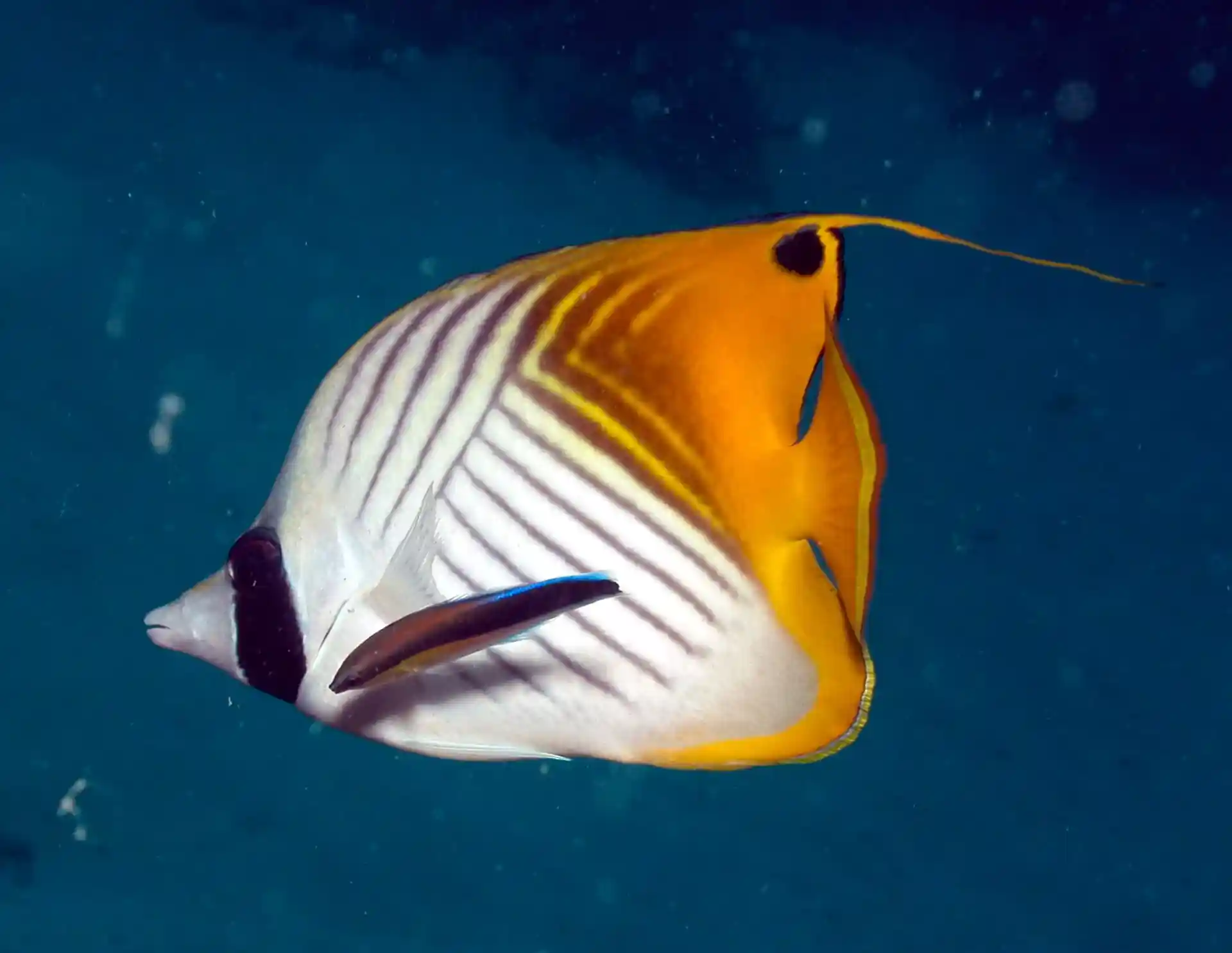 Dive site photo