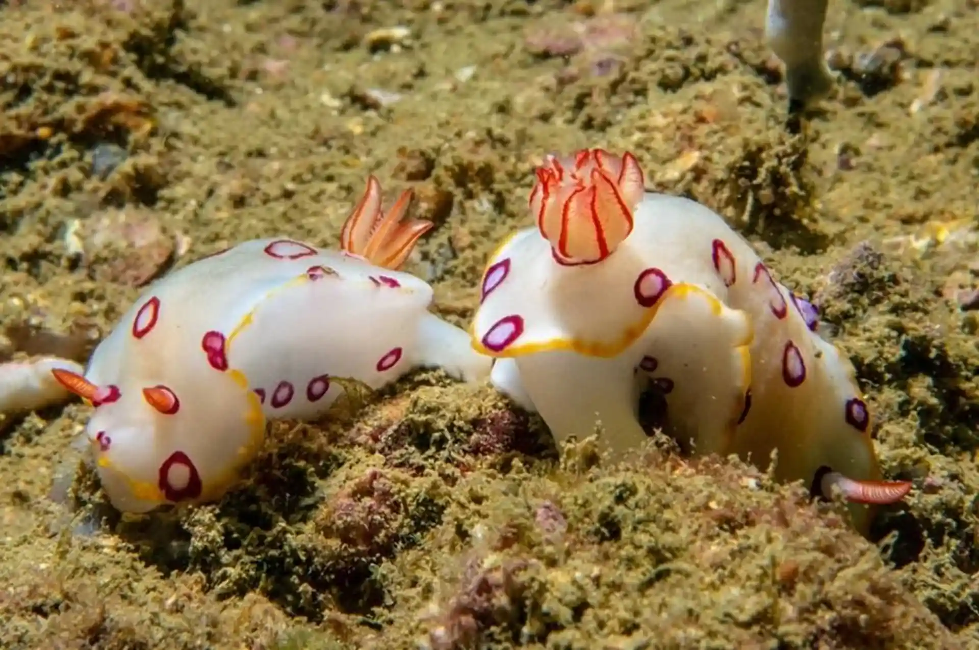 Dive site photo