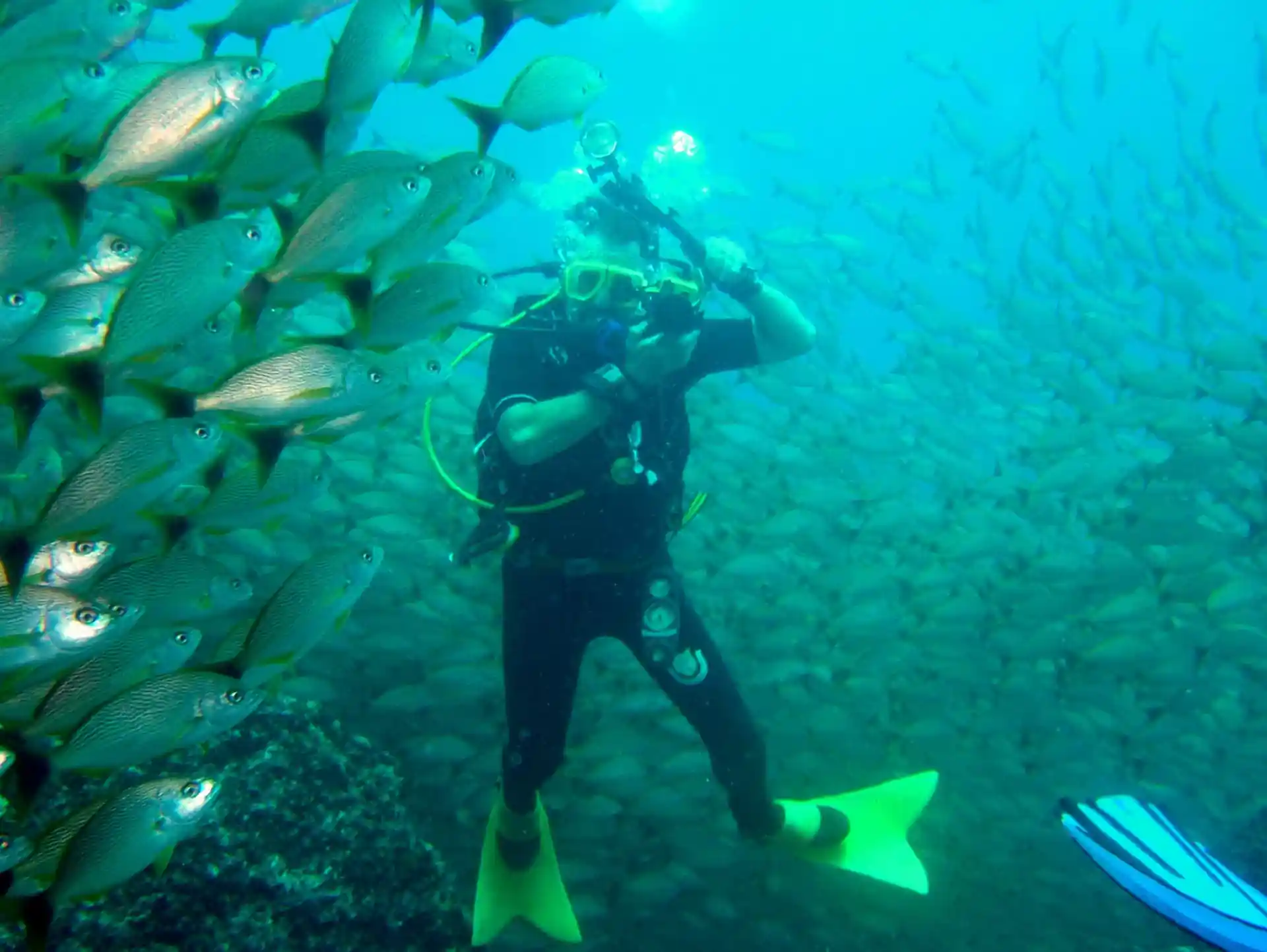 Foto de la tienda de buceo