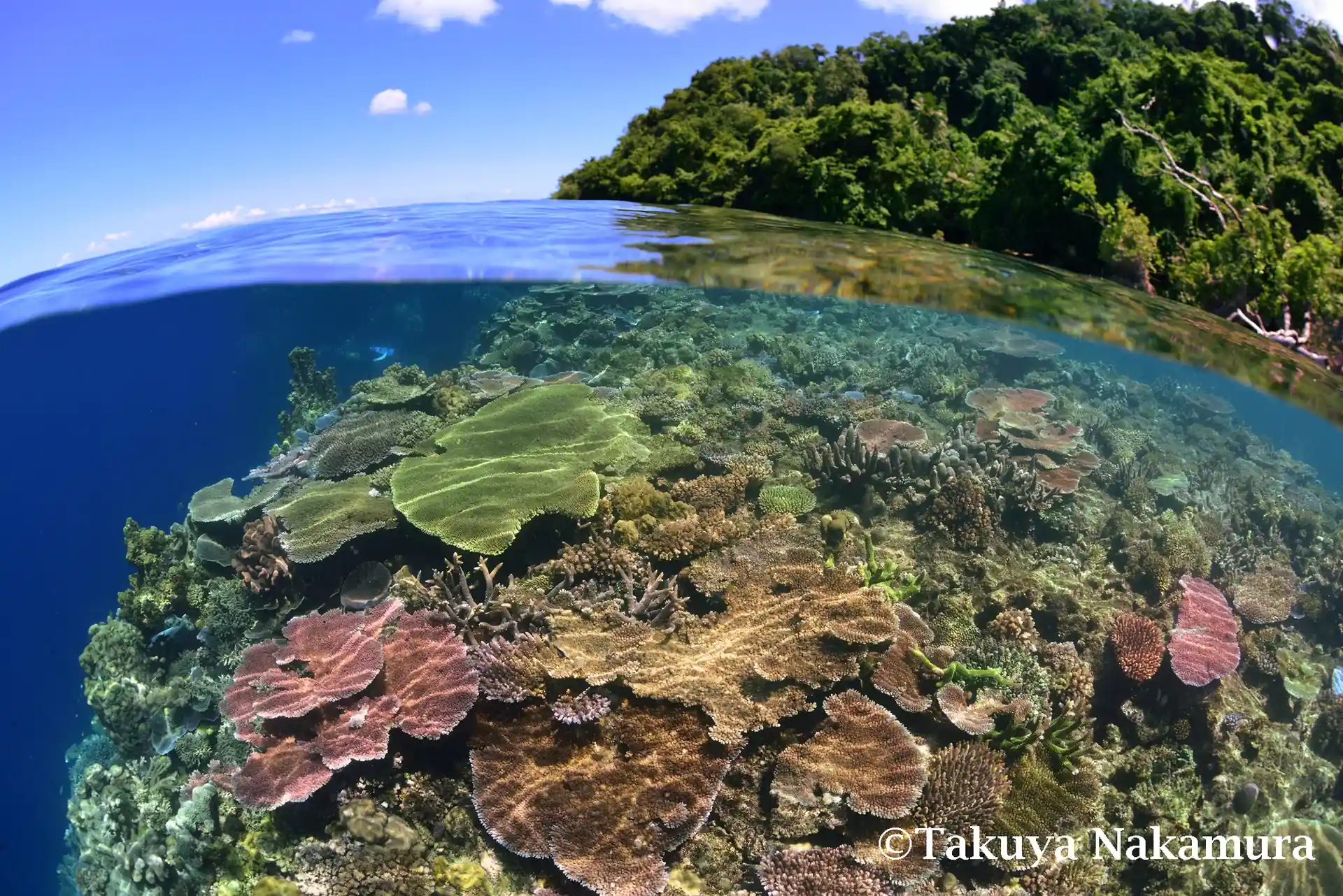 Dive site photo