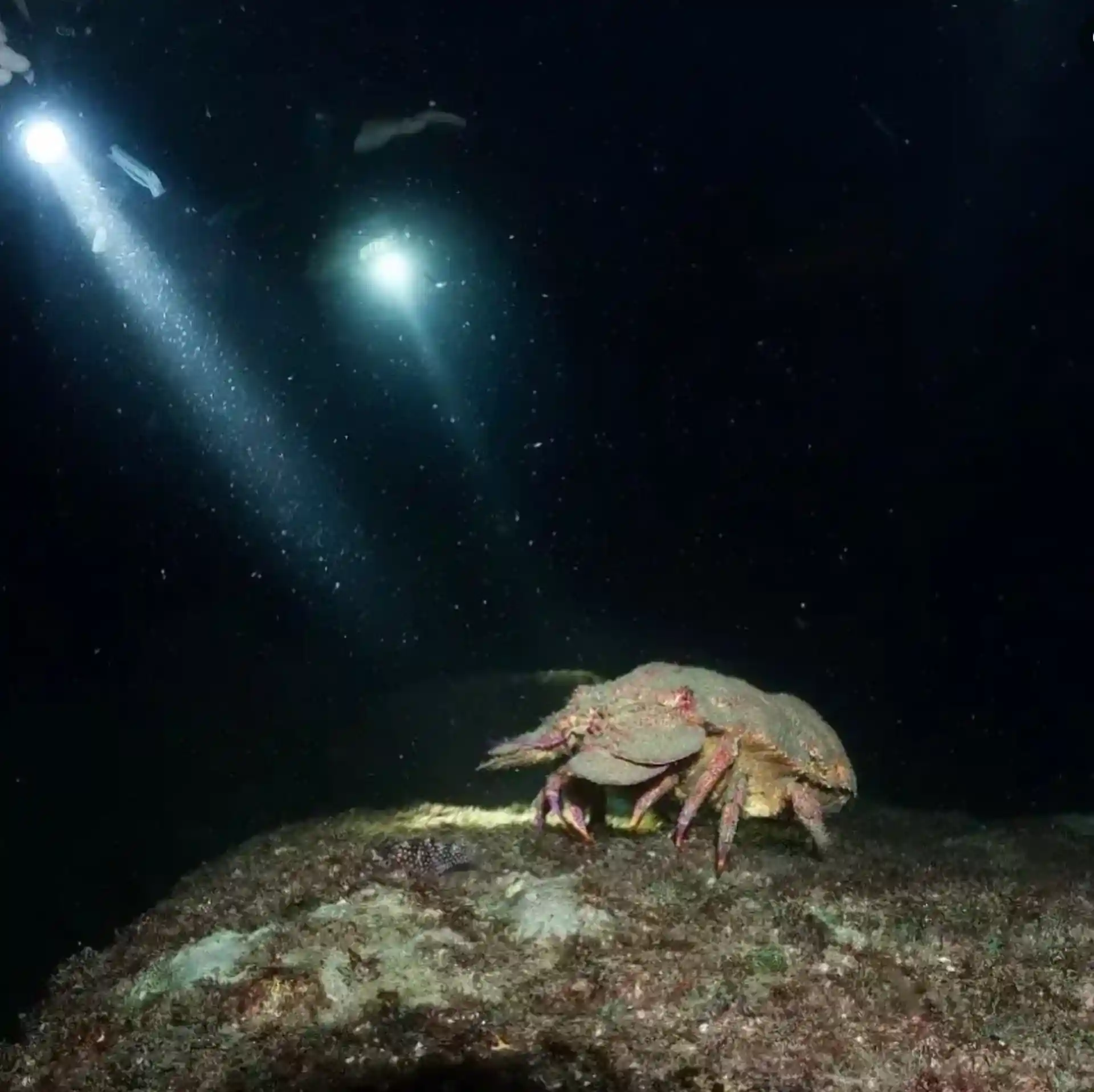 Foto de la actividad