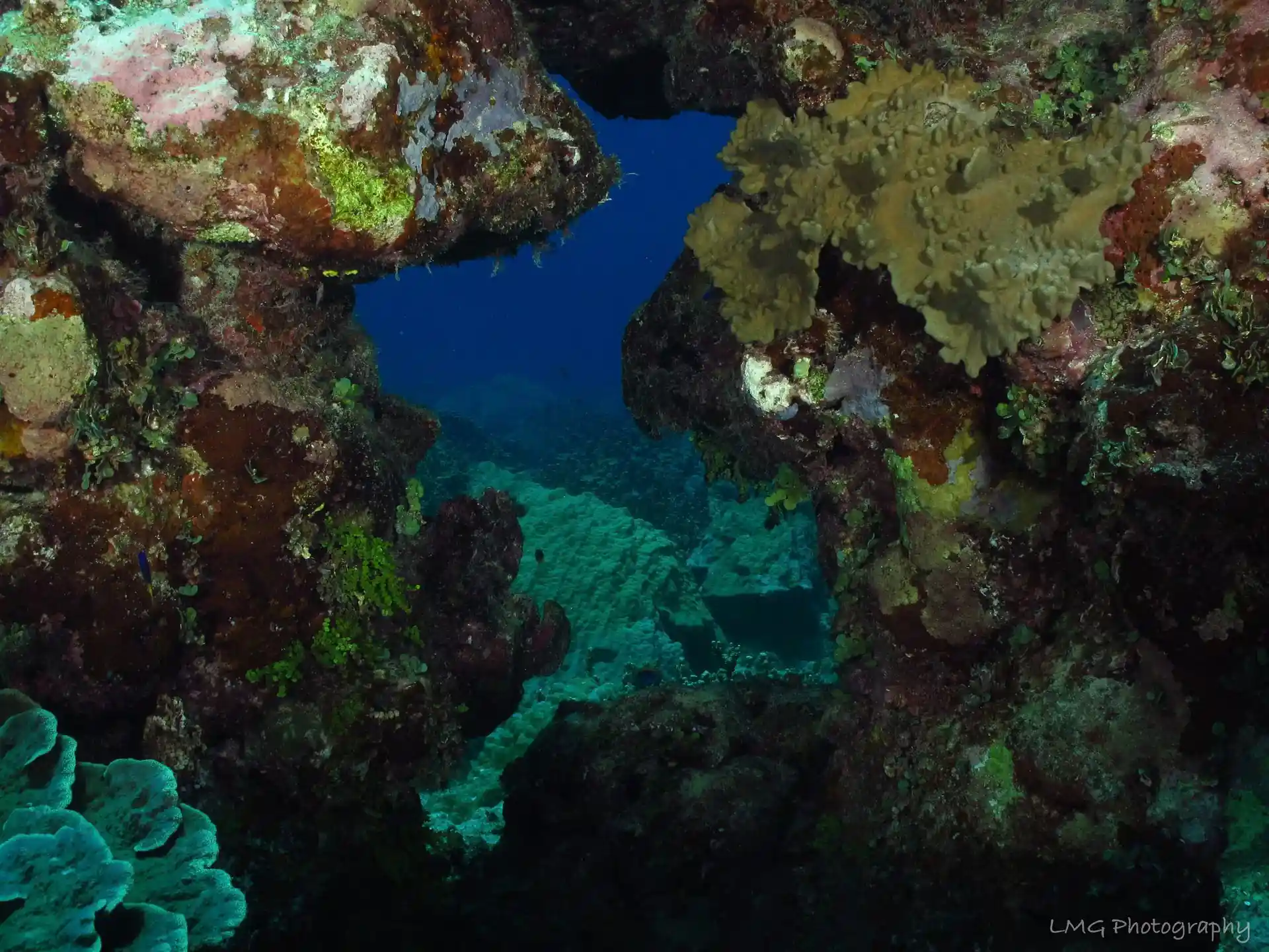 Dive site photo