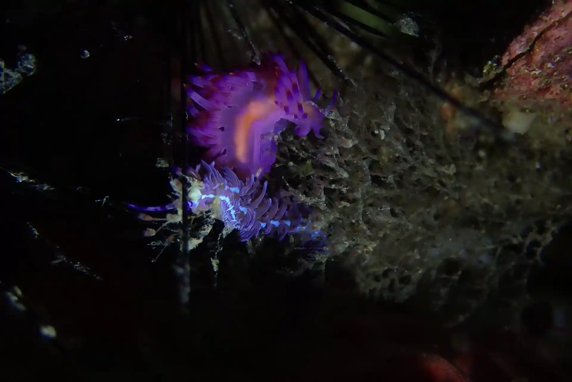 다이빙 포인트 사진