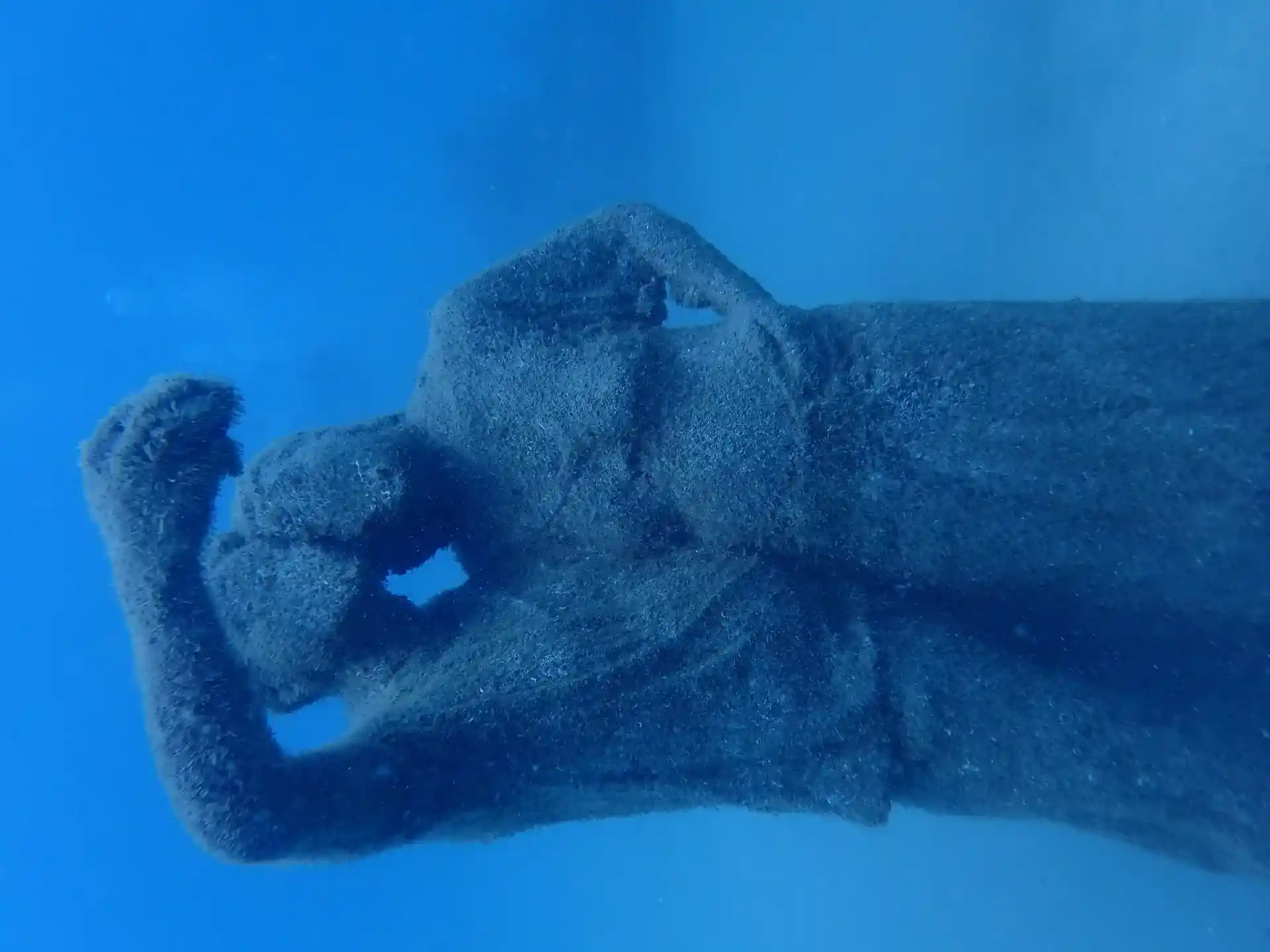 Dive site photo