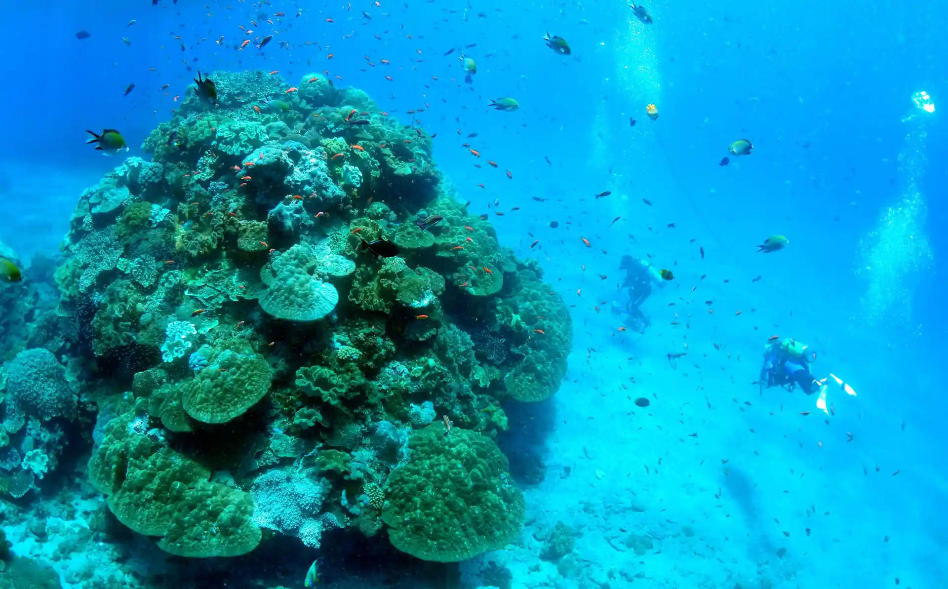 Dive site photo