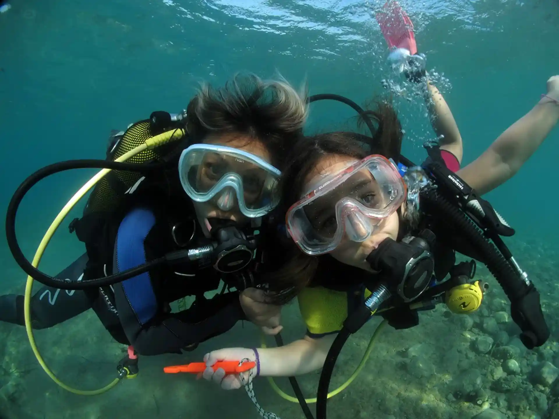 Foto de la actividad