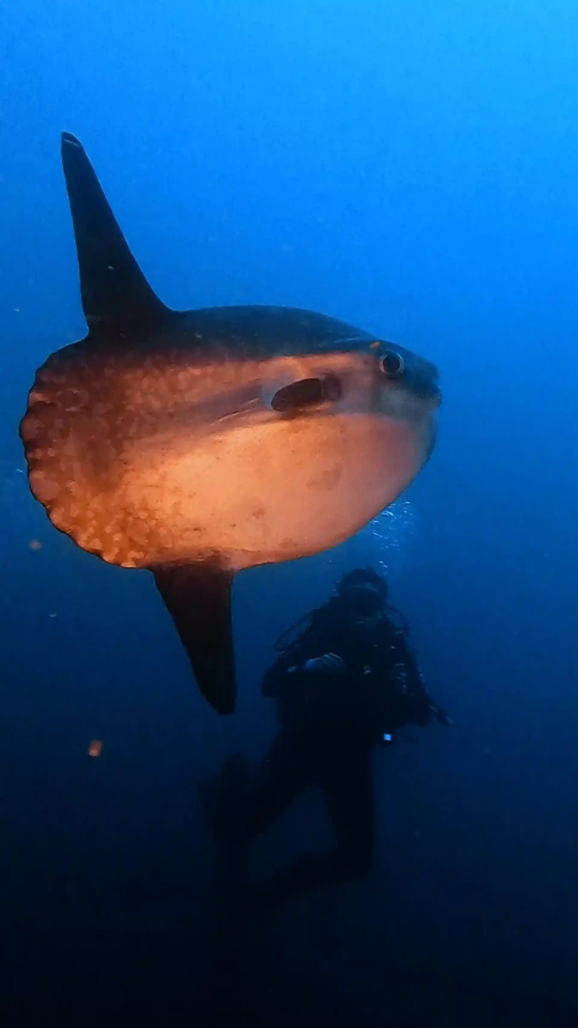 Dive site photo