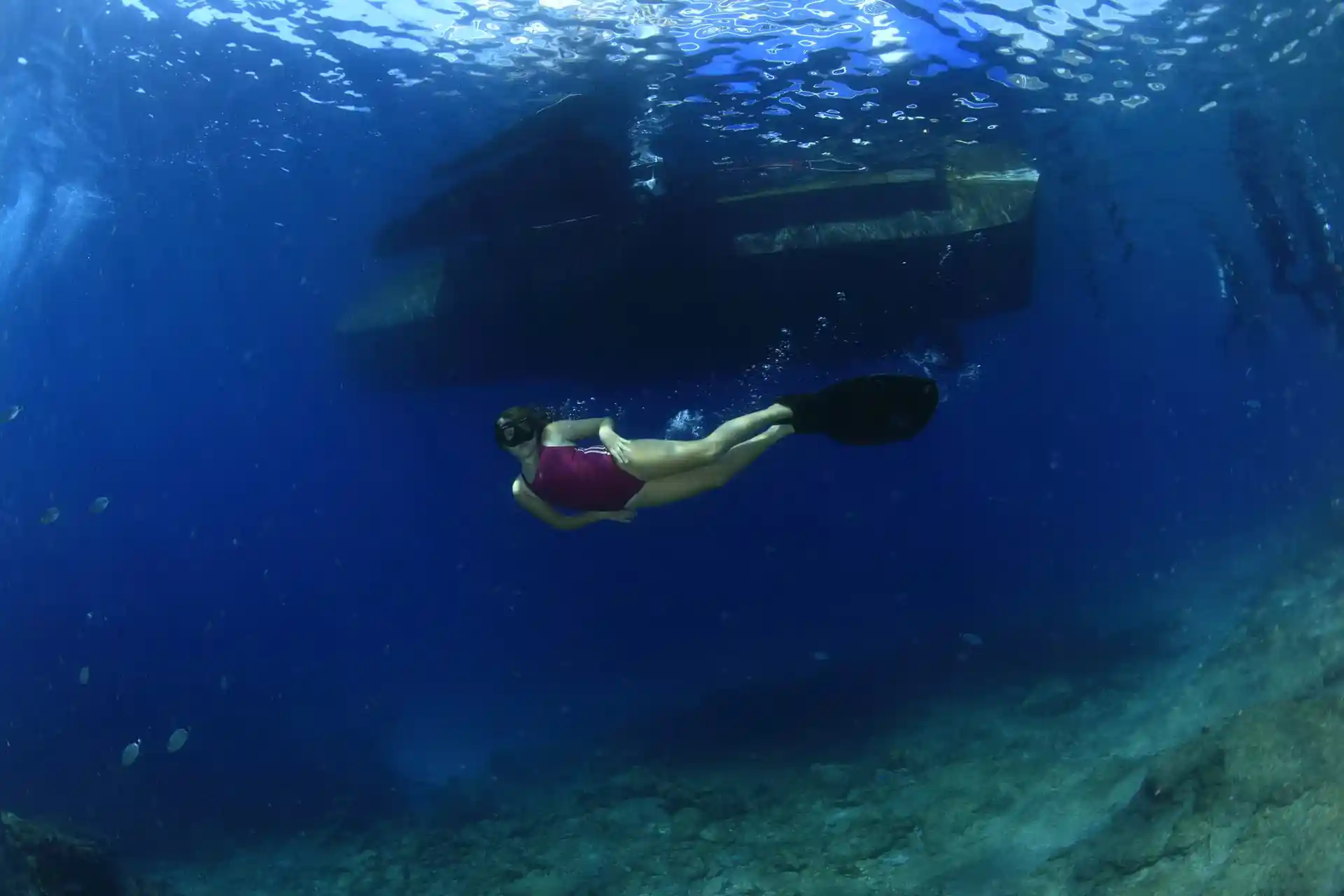 Dive shop photo