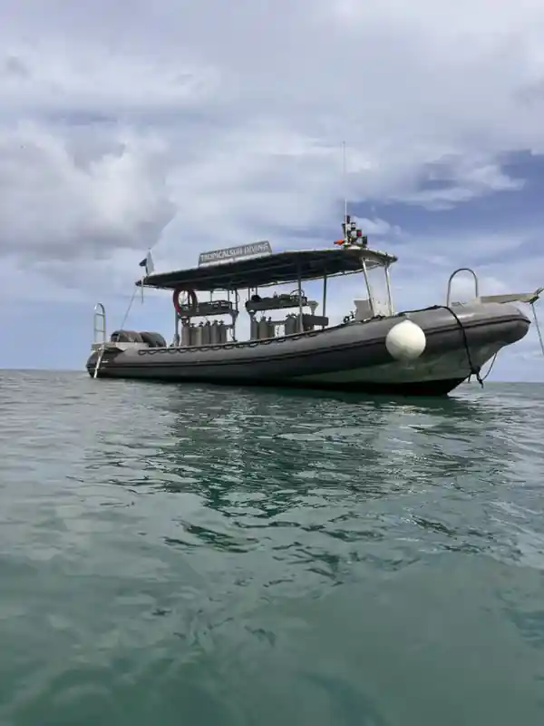 Dive operator picture