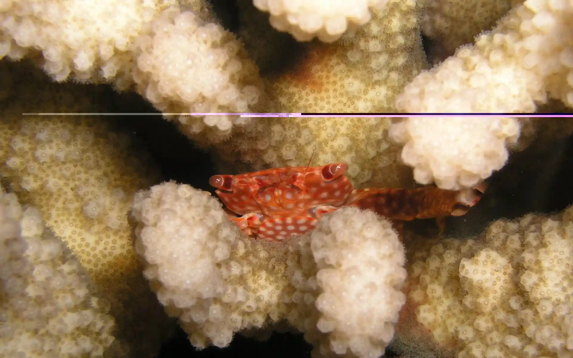 Dive site photo