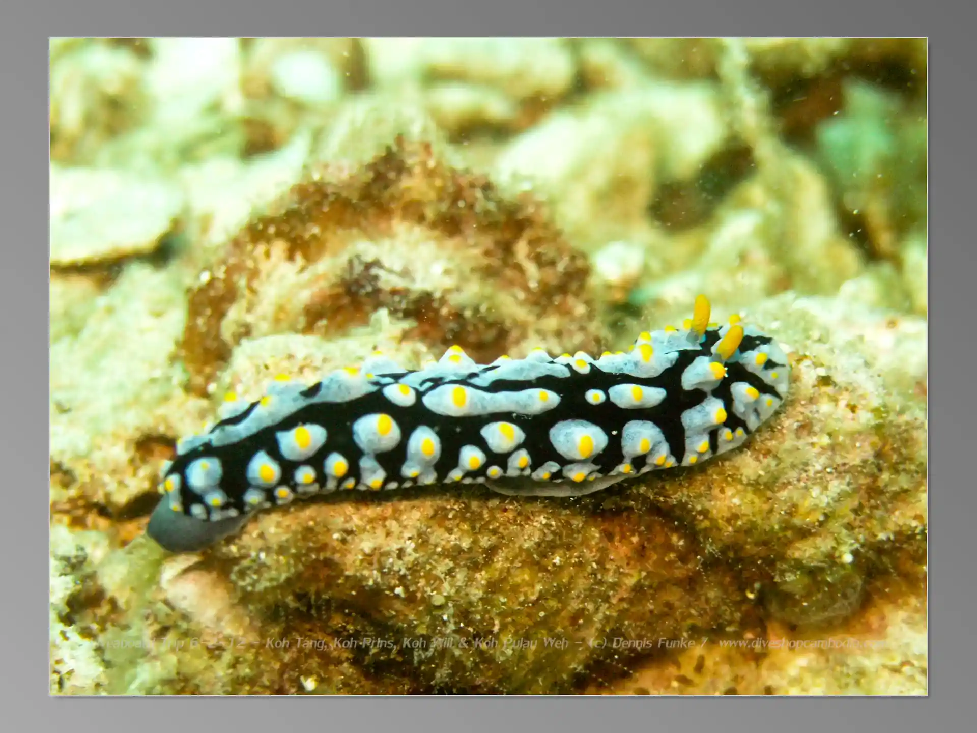 Foto del sitio de buceo